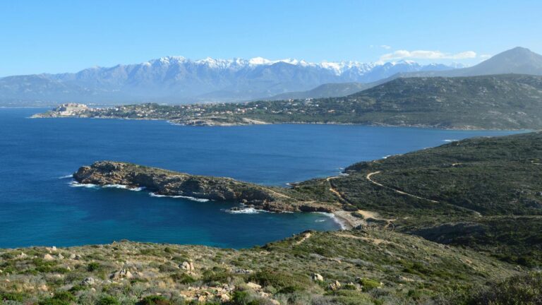 New Research Links Mediterranean diet to Better Brain Health After 40 - Featured image