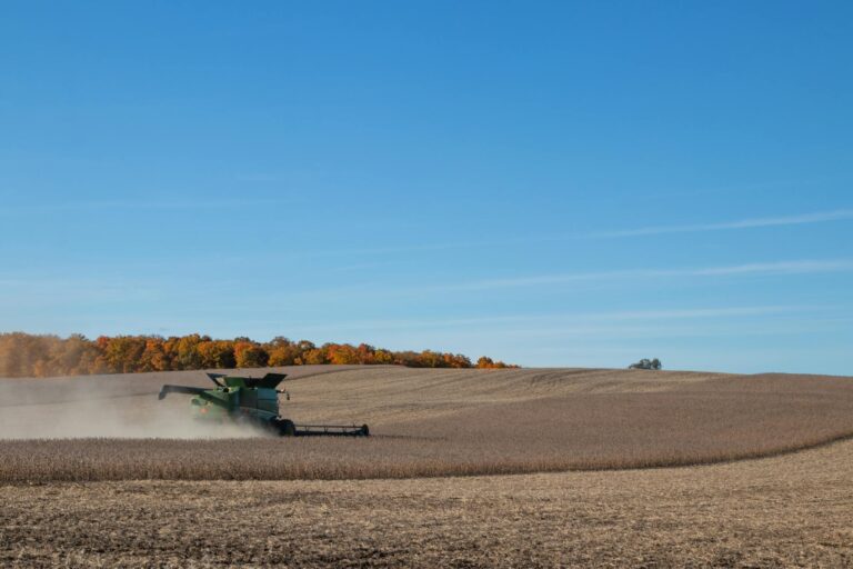 New Research Links soybean oil to Better Brain Health After 55 - Featured image