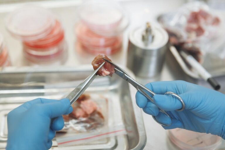 New Research Links vegetarian diet to Better Brain Health After 65 - Featured image
