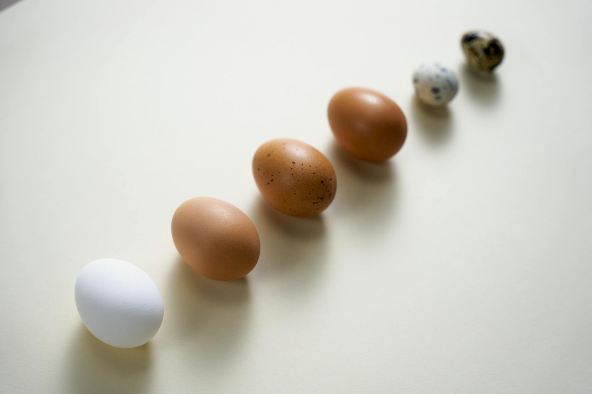 Pastured vs. Conventional Eggs: Does the Source Matter?