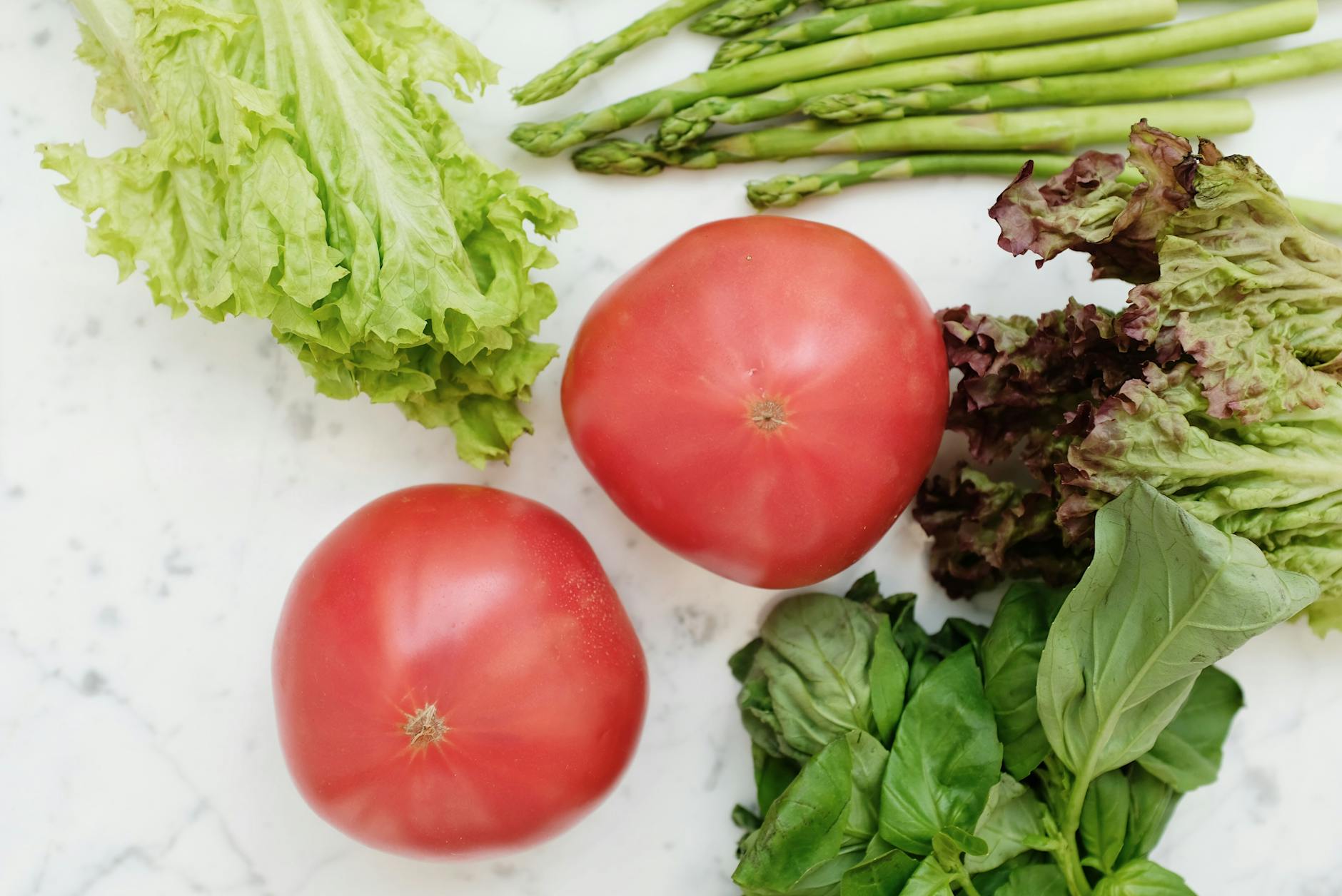 Plant-Based Diets and Specific Dementia Types
