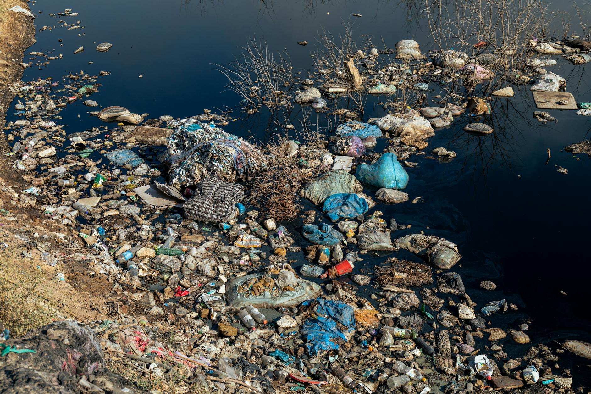 REAL-WORLD EXAMPLES OF POLLUTION-STRESS DAMAGE IN DIFFERENT COMMUNITIES