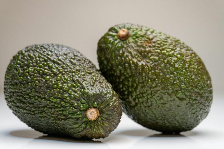 Scientists Reveal avocado Is One of the Worst Foods for Brain Health - Featured image