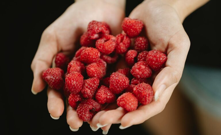 Scientists Reveal raspberries Is One of the Worst Foods for Brain Health - Featured image