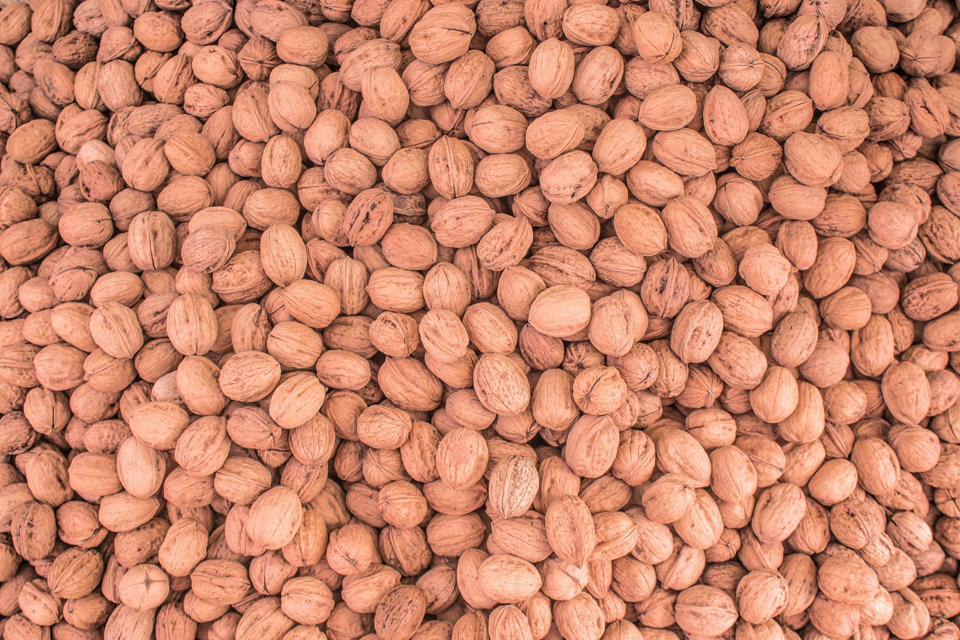 Specific Brain-Protective Nutrients Found in Plant-Based Foods