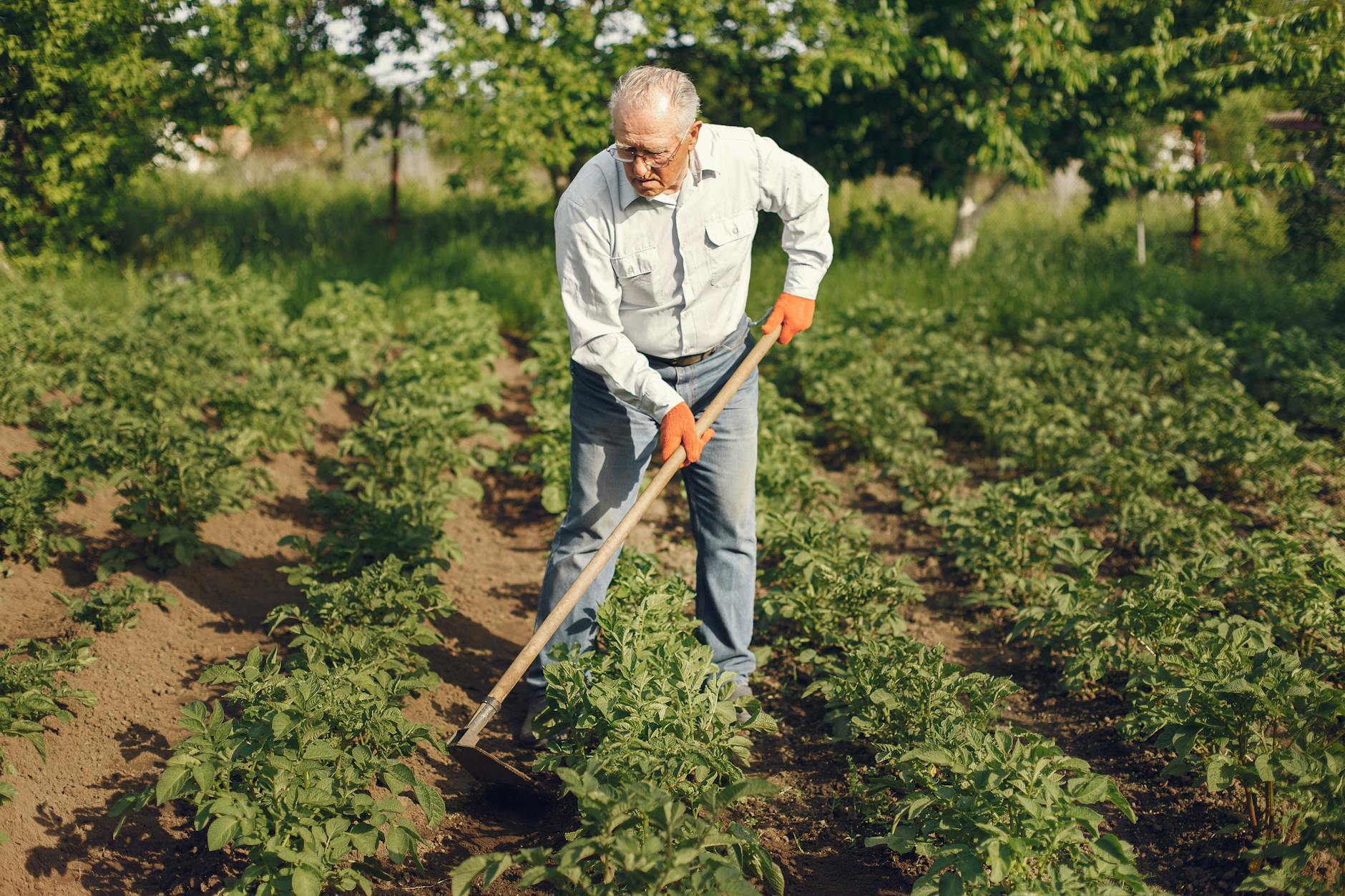 Sustainability and the Risk of Overexertion