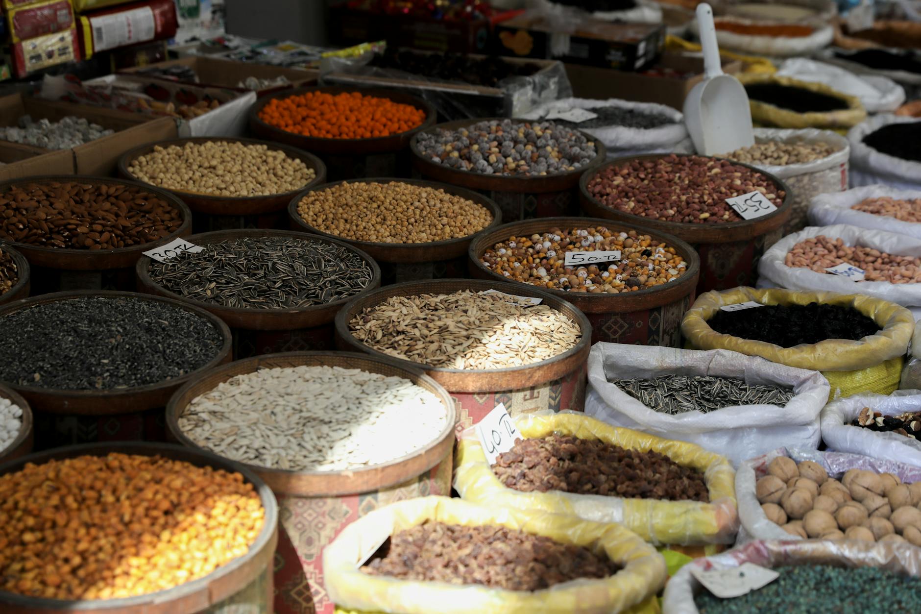 The Broader Dietary Context: Seeds Among Brain-Protective Foods