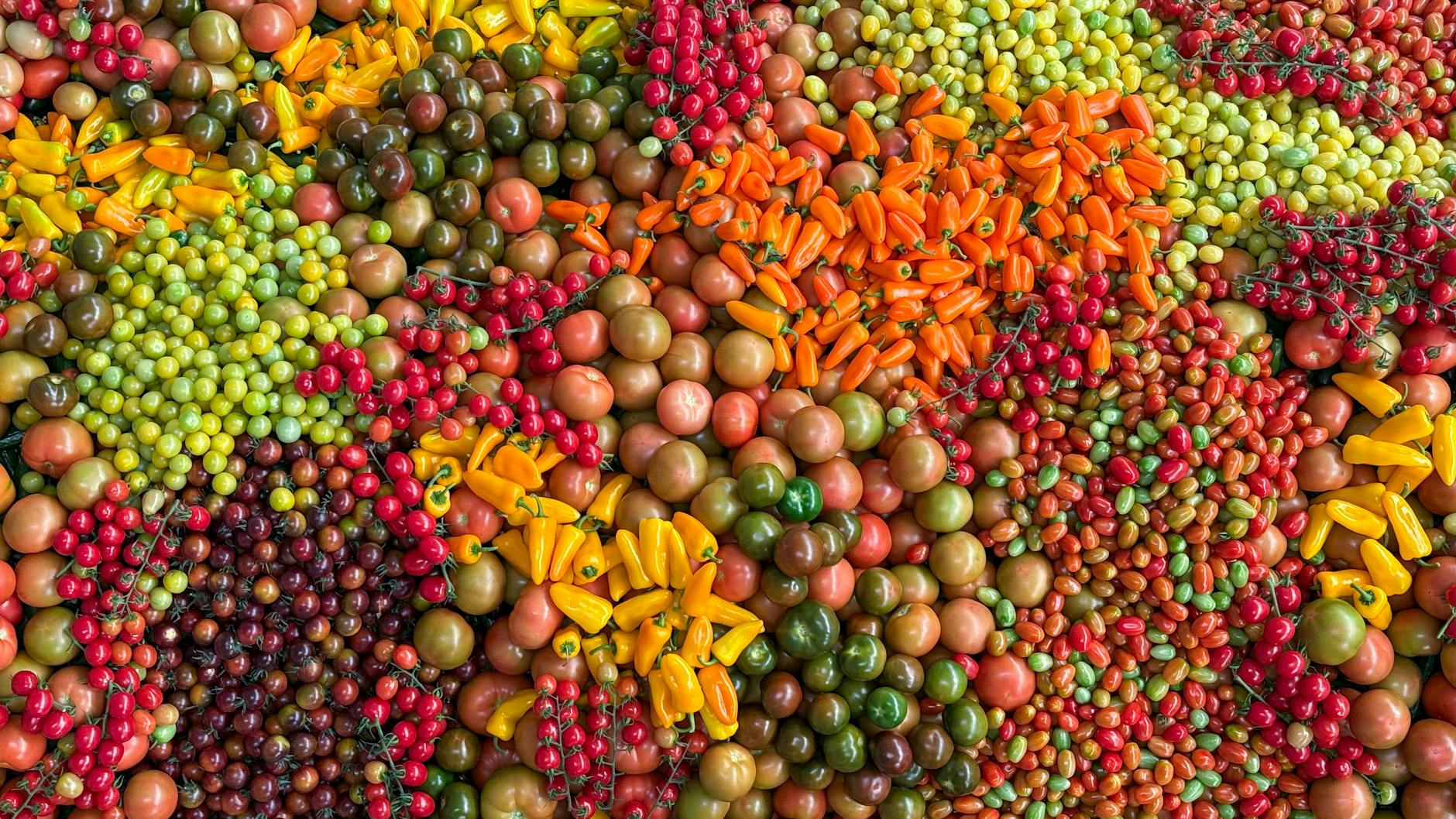 The Broader Pattern—Plant-Based Diets and Dementia Risk