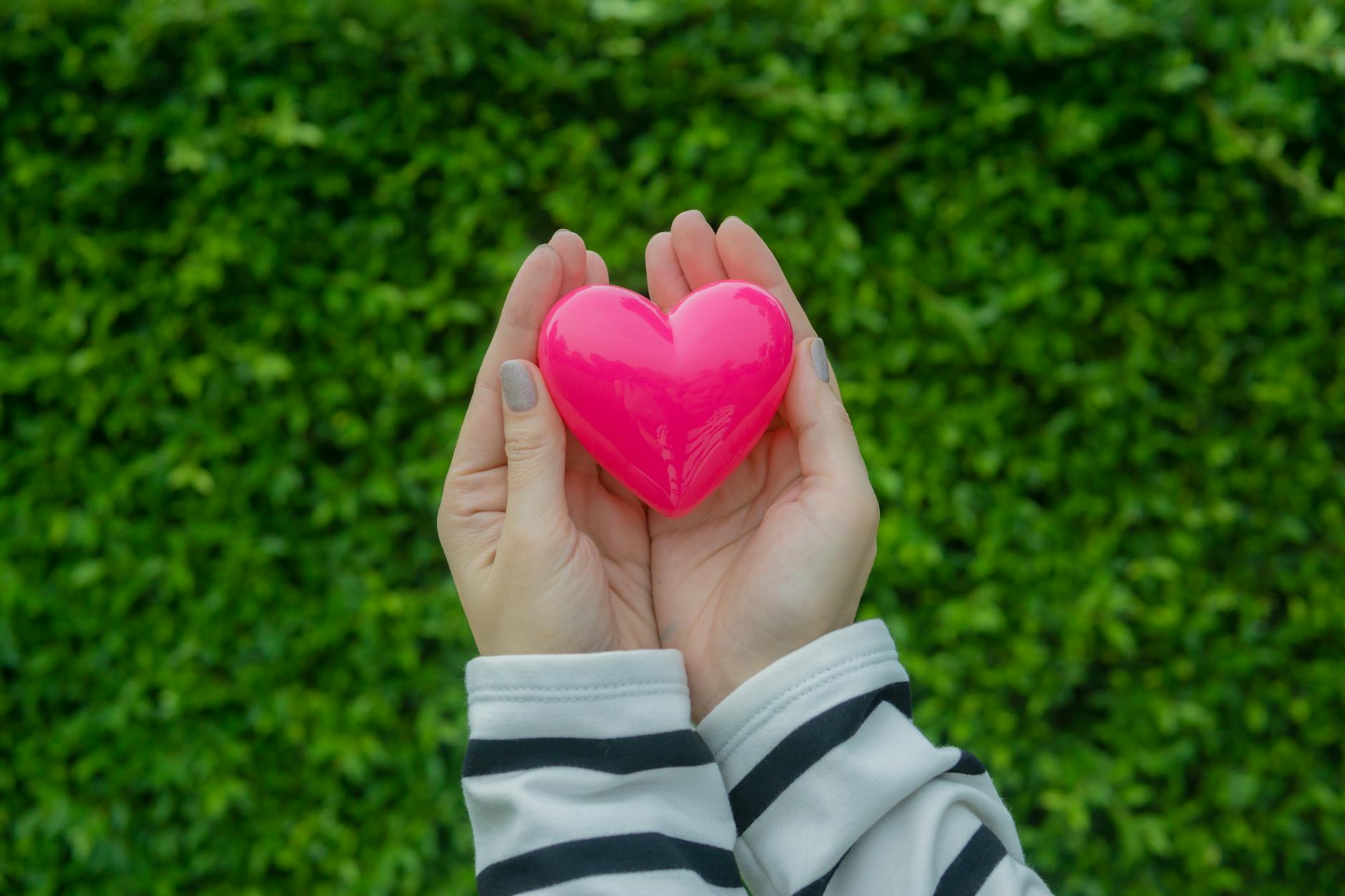 The Cardiovascular Connection Between Heart Health and Brain Protection
