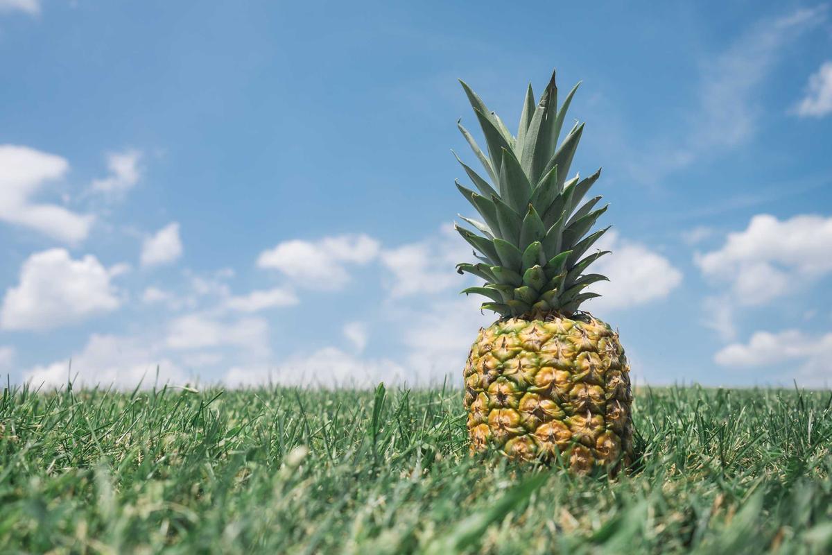 The Cortisol Connection: Understanding Stress Hormones and Brain Health