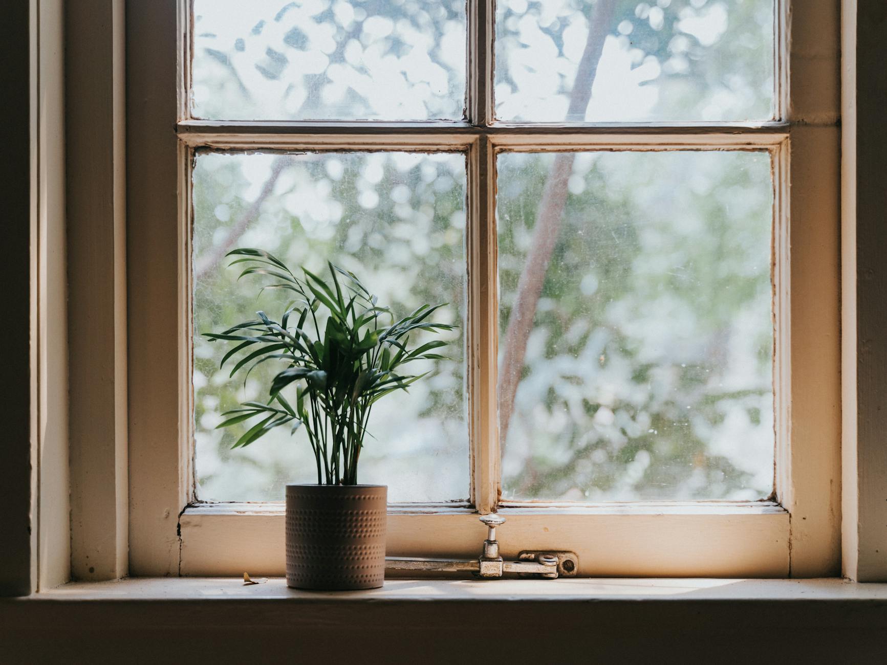 The Critical Window—When Hormone Replacement Therapy Helps or Harms