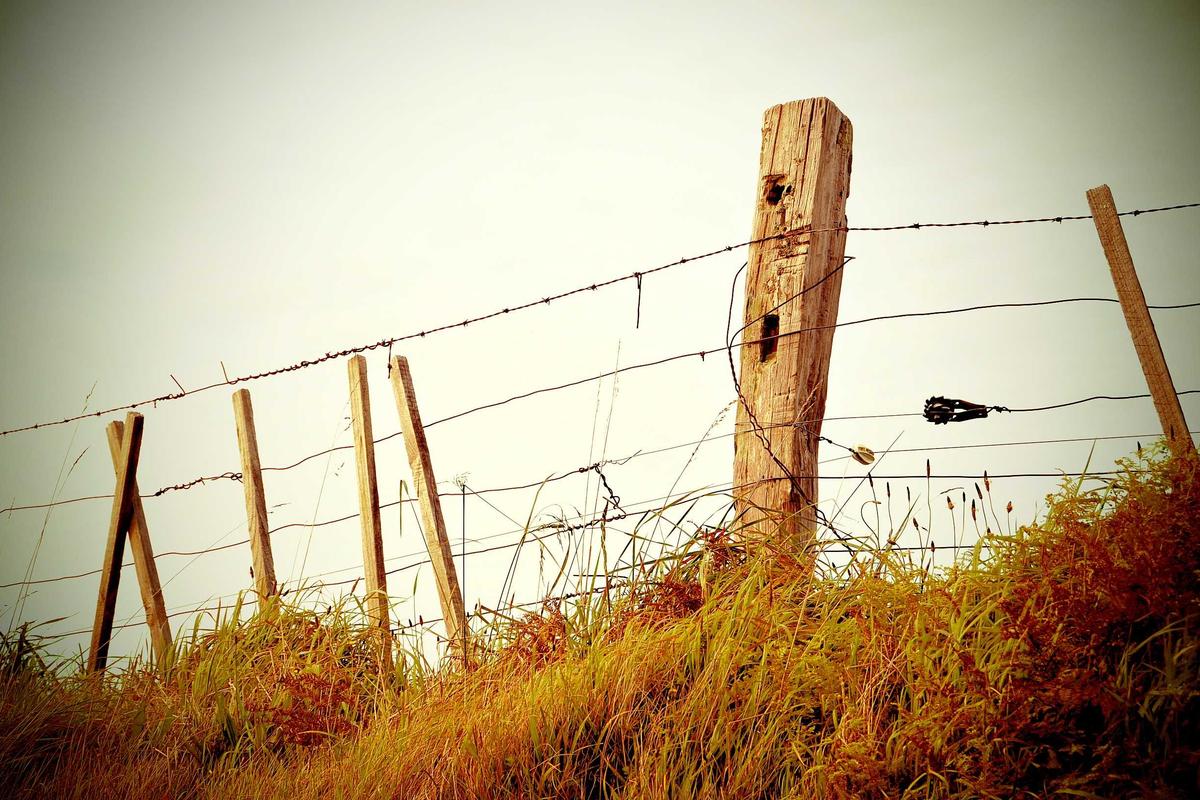 The Diagnostic Trap: When Antidepressants Fail