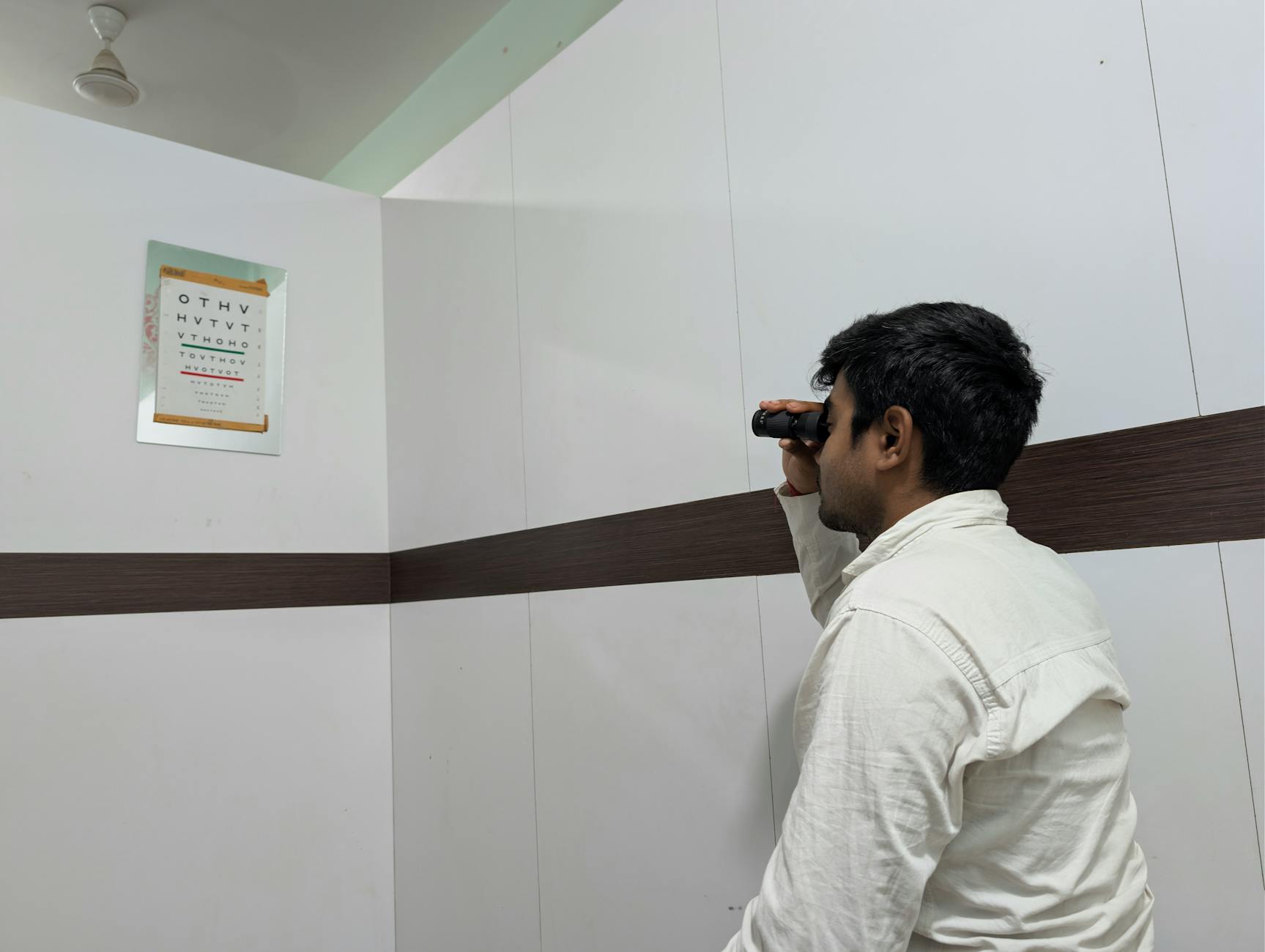 The Eye-Brain Connection and Vision Protection in Aging