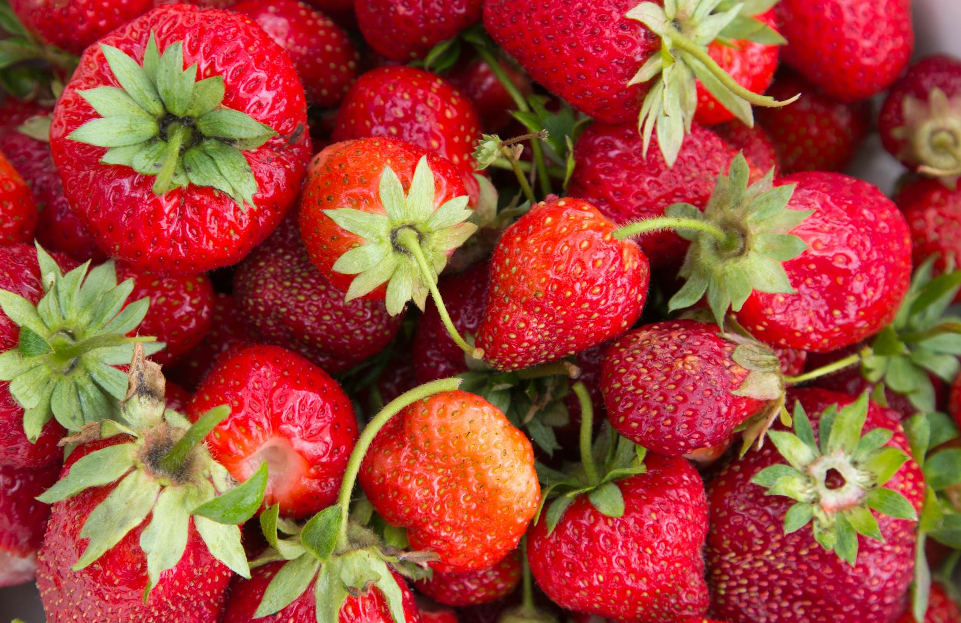 The Inflammatory Response: How Fructose Activates Brain Immunity