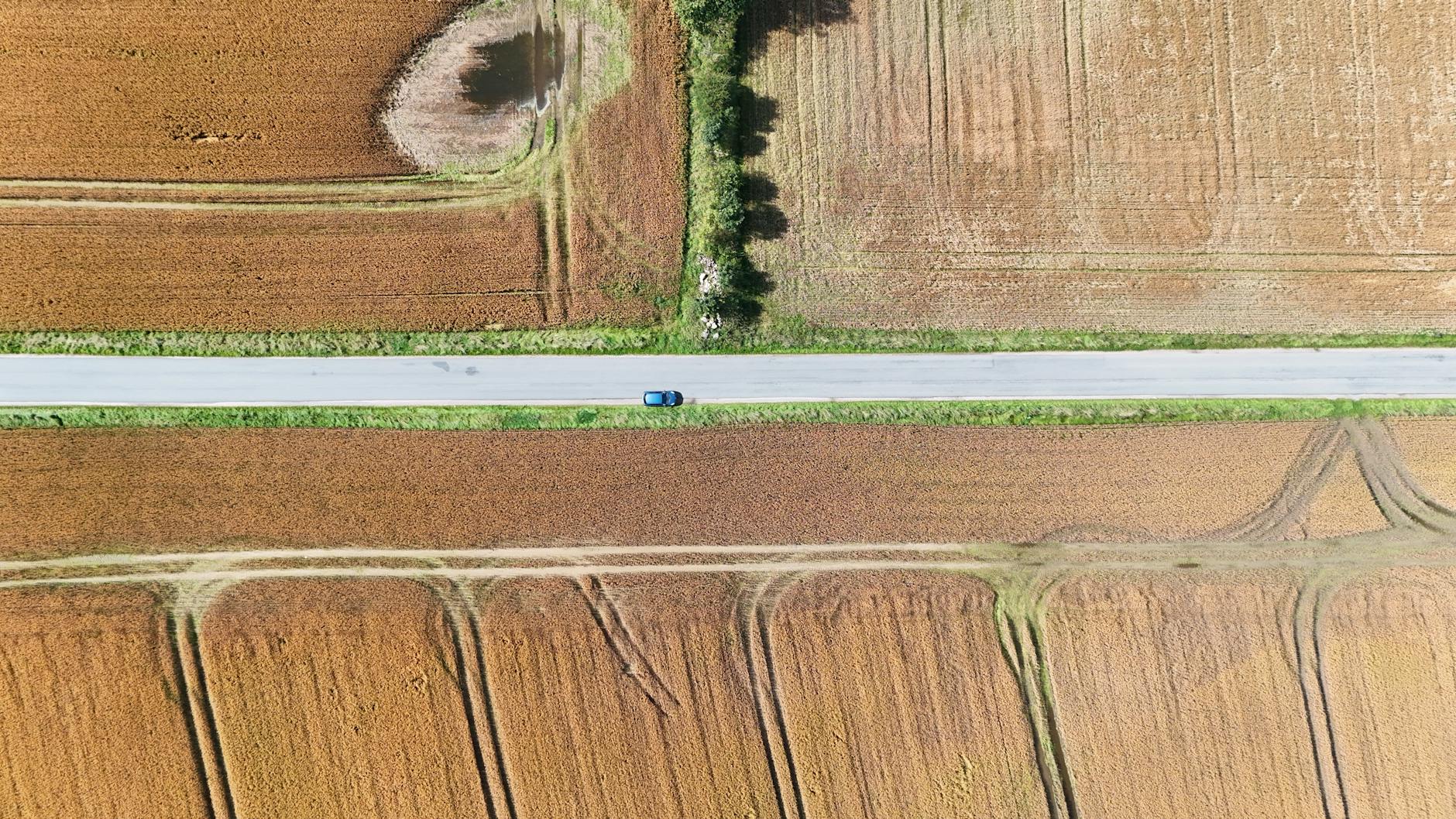 The Long Road to Diagnosis in Cognitive Conditions