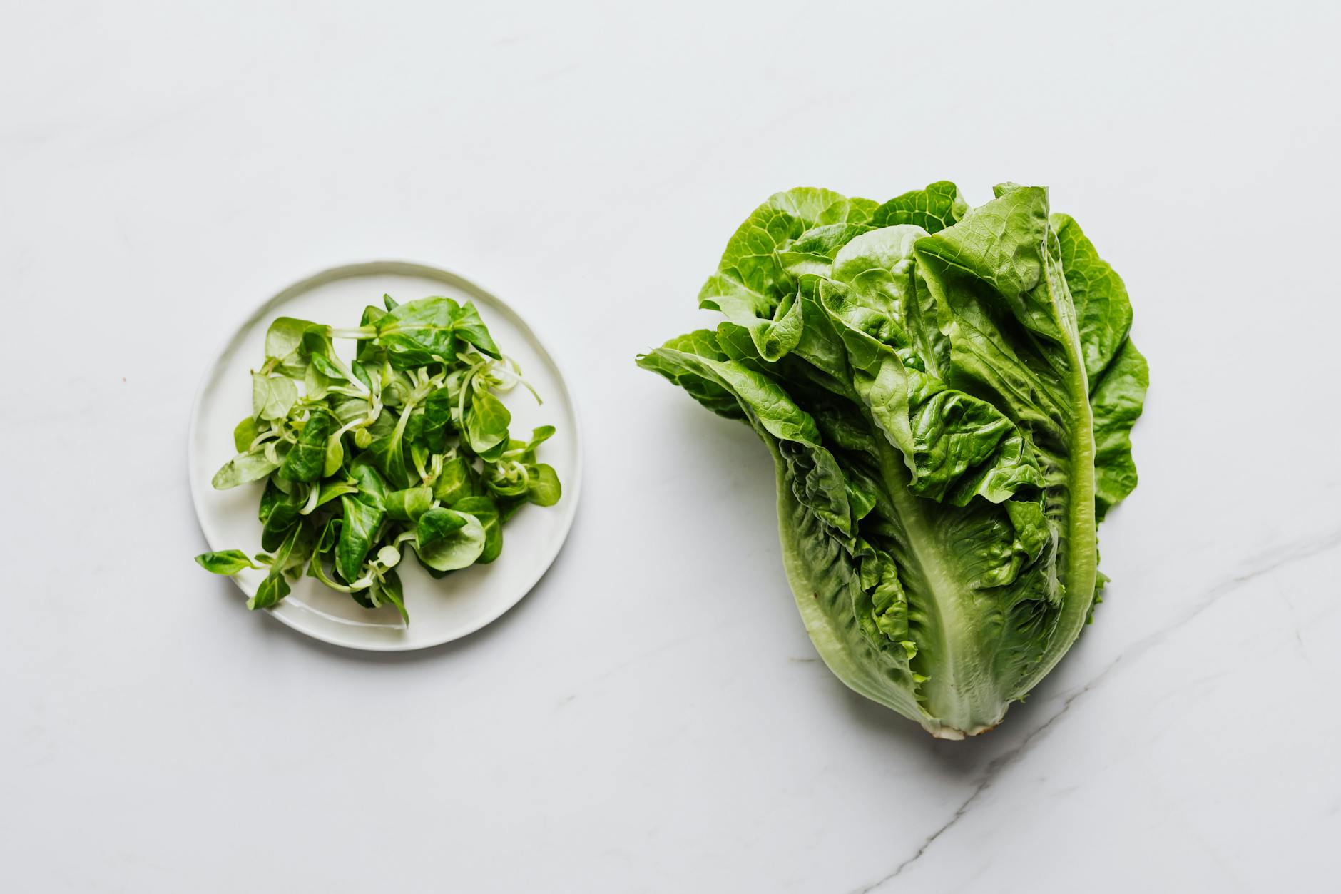 The MIND Diet: How Leafy Greens Fit Into Real Dementia Prevention Research