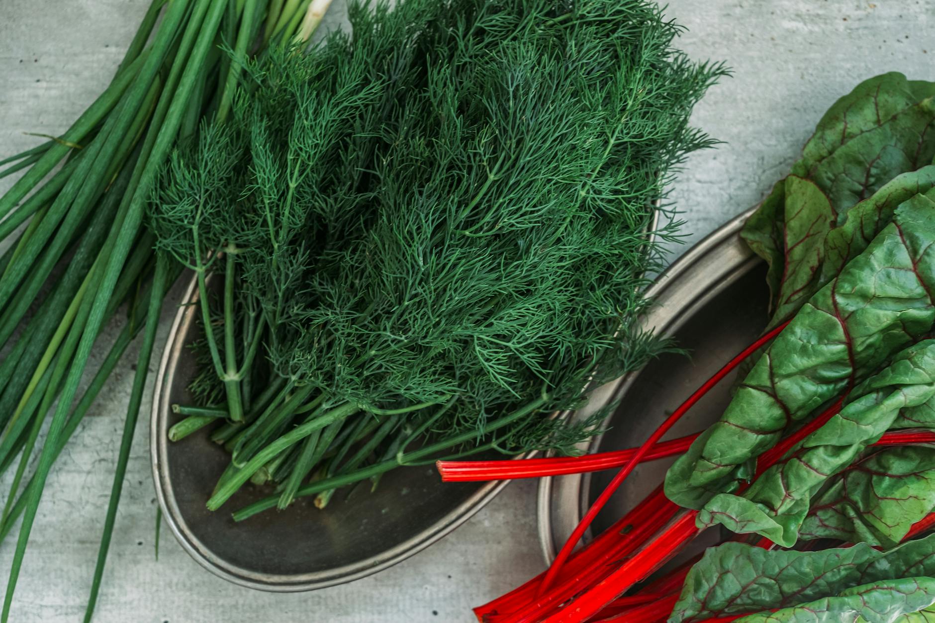 The Nutritional Profile of Swiss Chard and Brain Protection