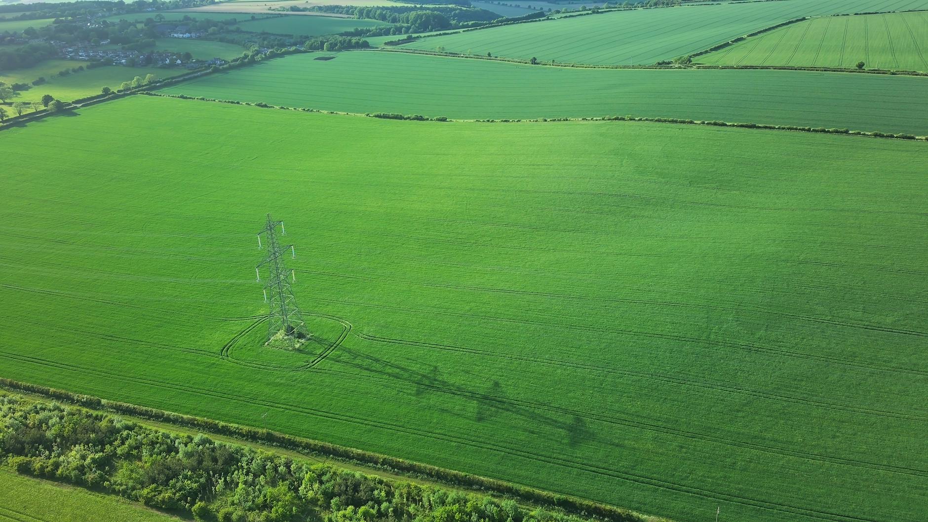 The Protective Power of Green Spaces and Urban Planning