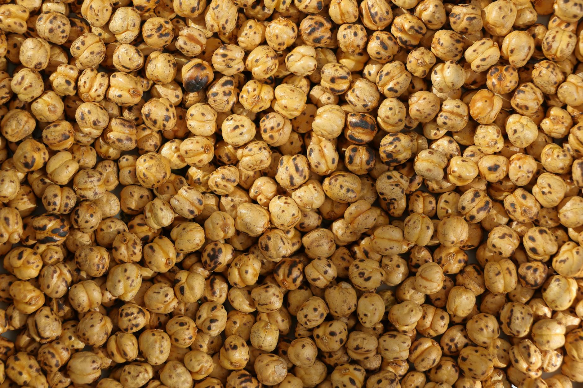 The Research Evidence for Chickpea Brain Protection