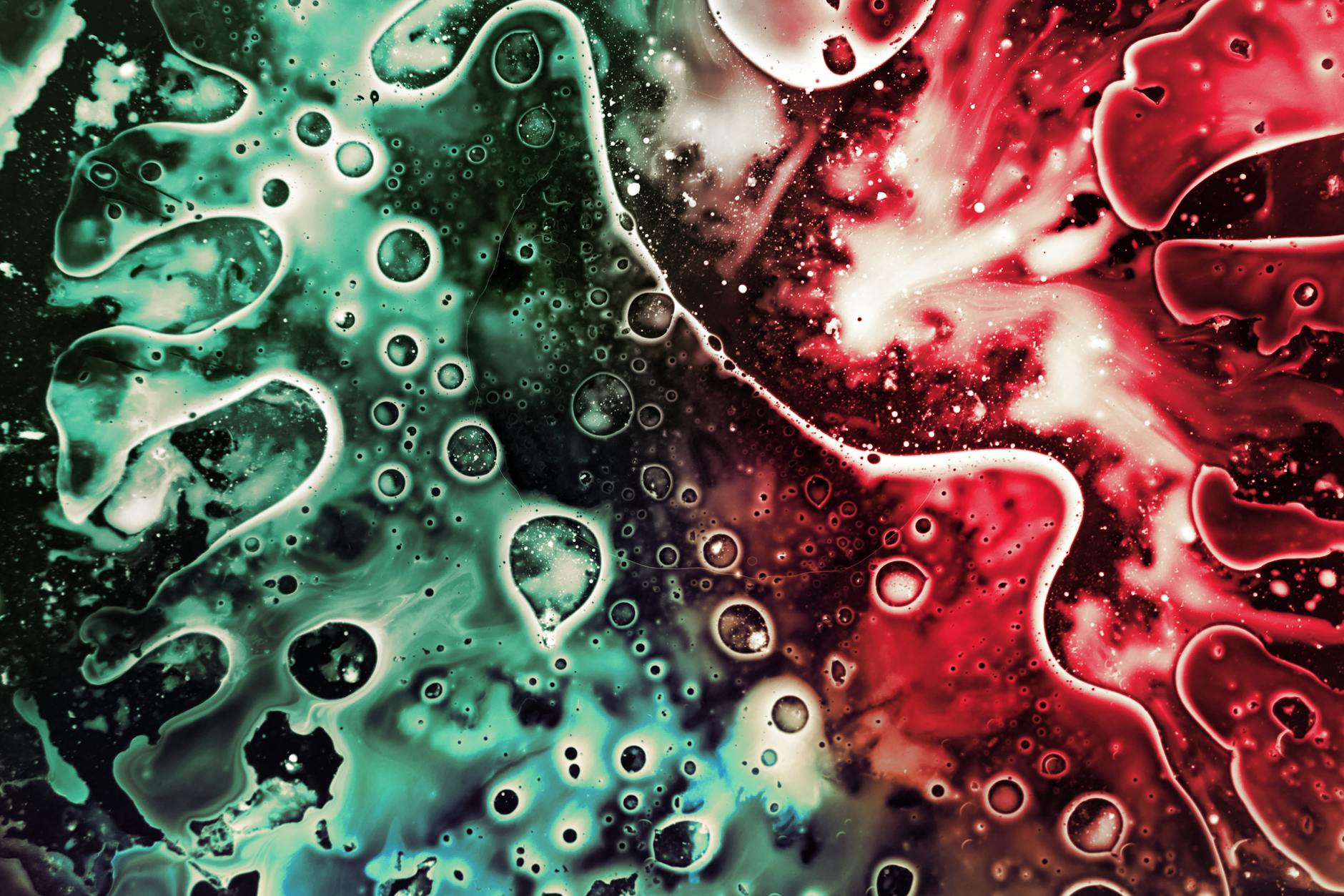 The Role of Inflammation and Cellular Function in Brain Aging