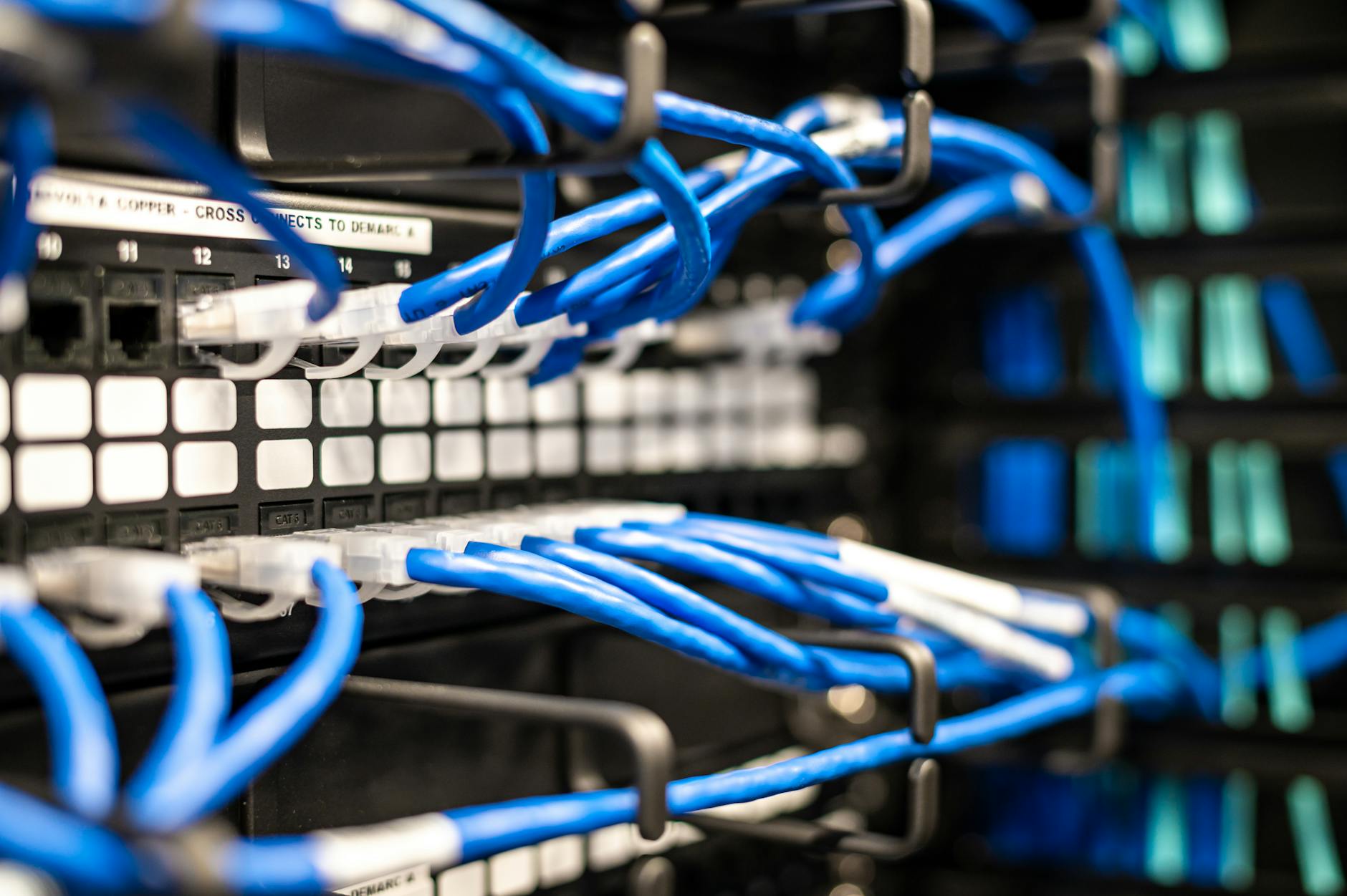 The Social Network Effect Beyond Weekly Services