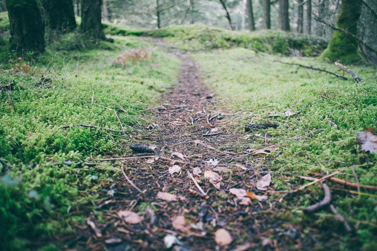 Timing Mistakes That Derail Even Careful Planning