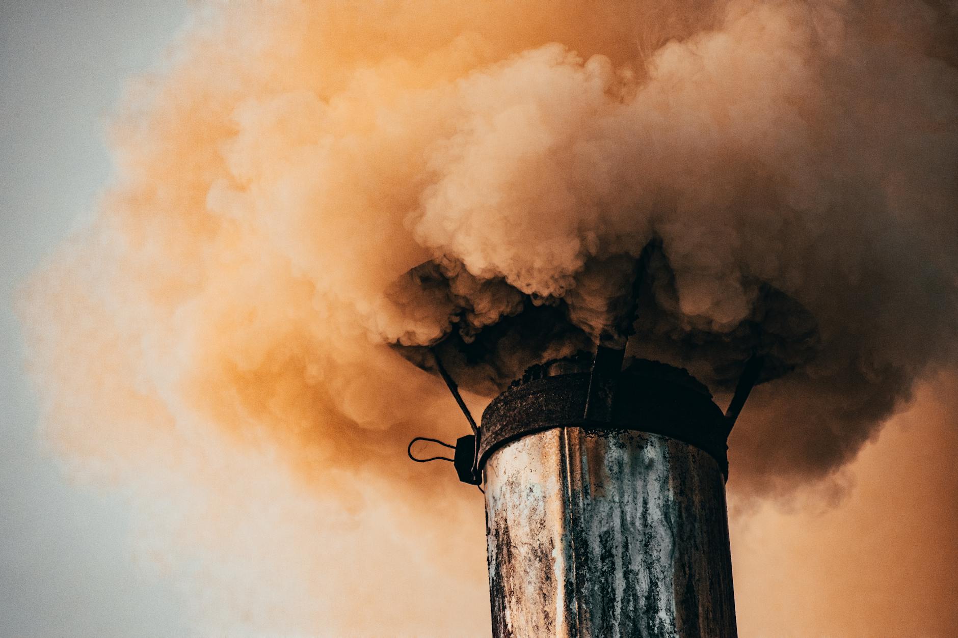 Understanding Air Pollution's Impact on Cognitive Decline