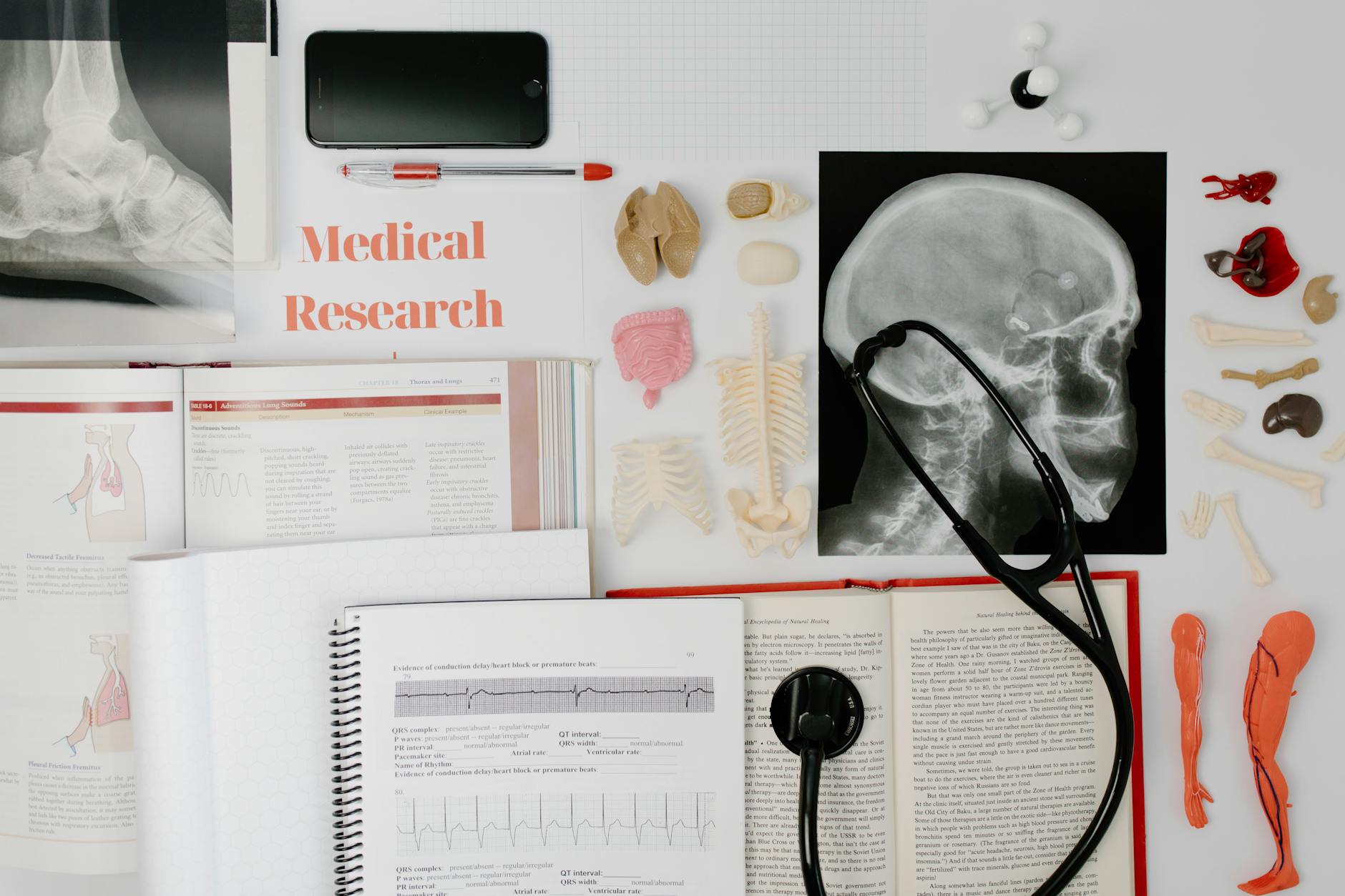 What Brain Research Reveals About Plant-Based Eating and Memory Protection