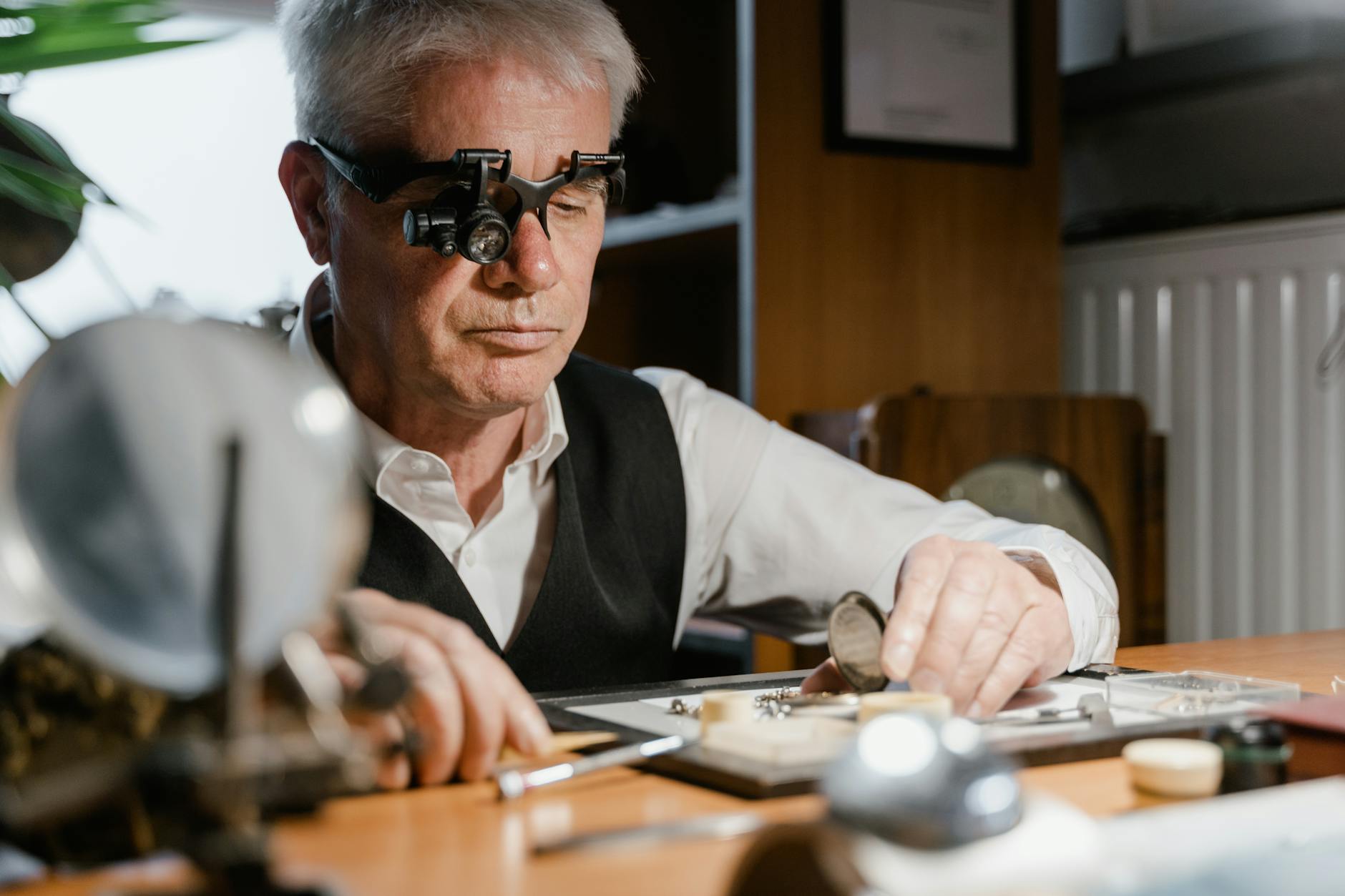 What Do Experts Reveal About Cognitive Decline Patterns in Alzheimer's?