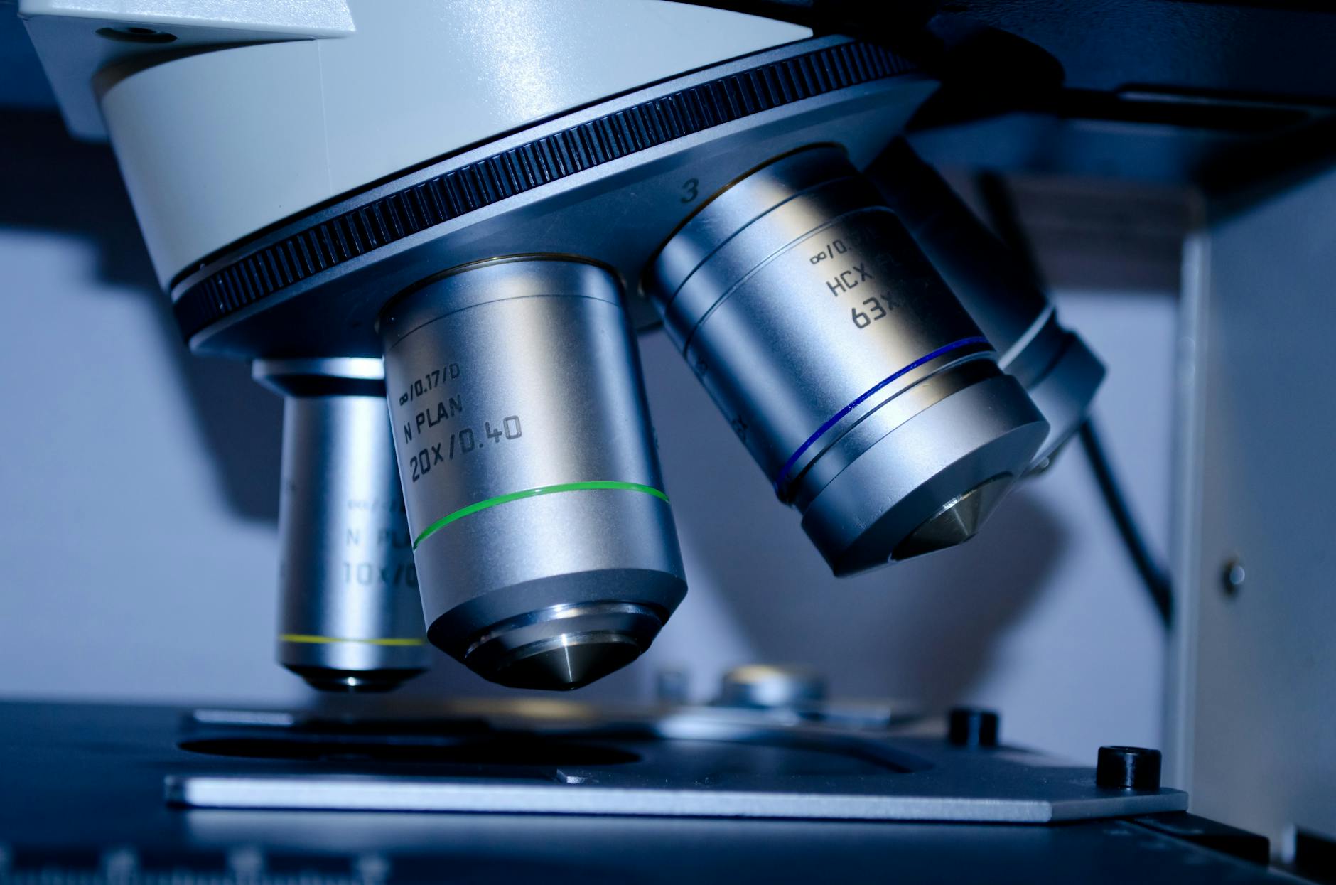 What Does Mayo Clinic Actually Say About Ketogenic Diet and Dementia Risk?