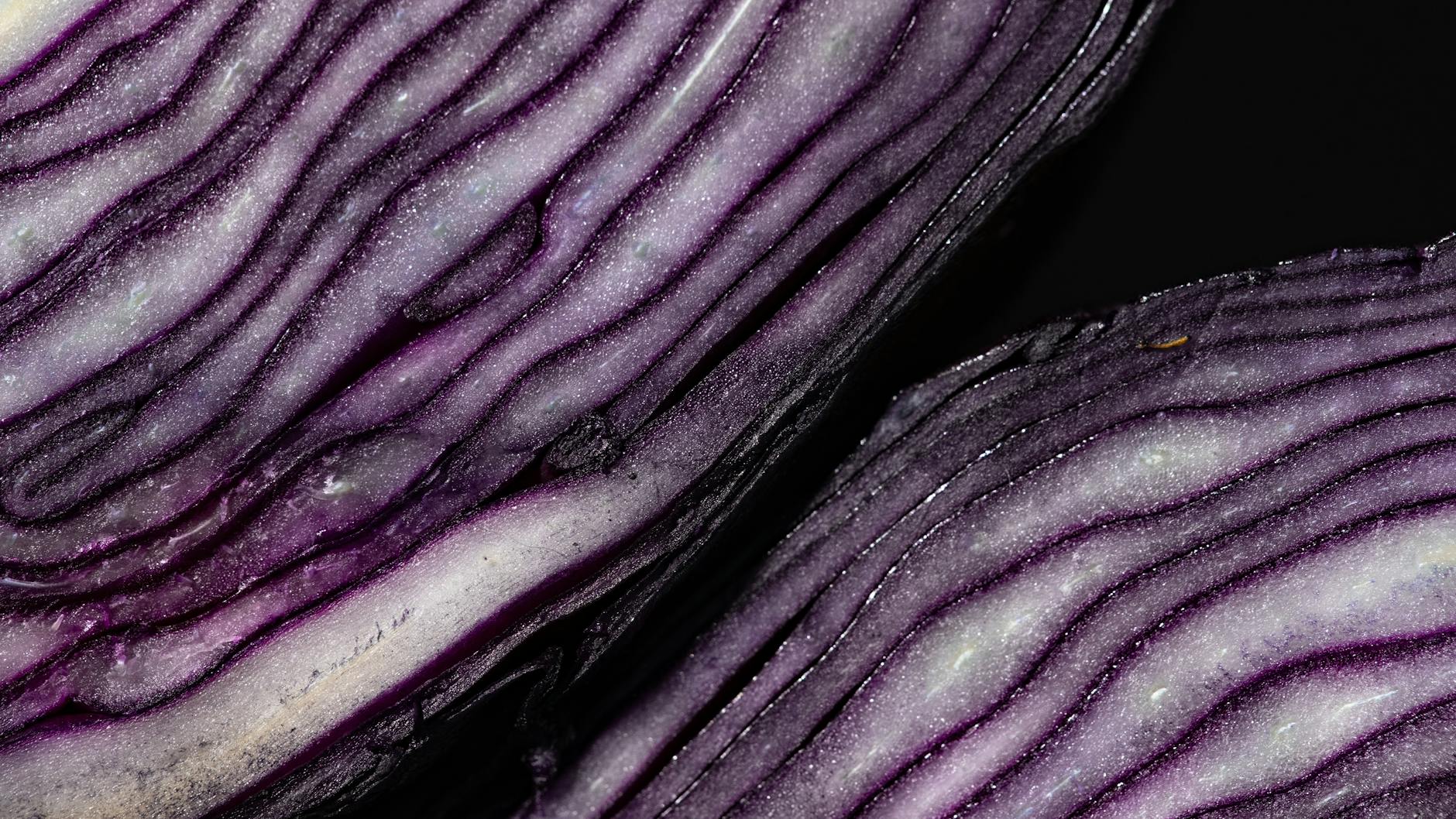 What Does Mitochondrial Dysfunction Actually Mean at the Cellular Level?