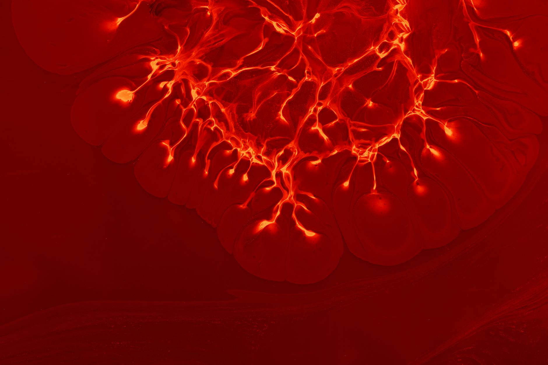 What Does Neuroscience Actually Show About Turmeric's Effect on Memory?