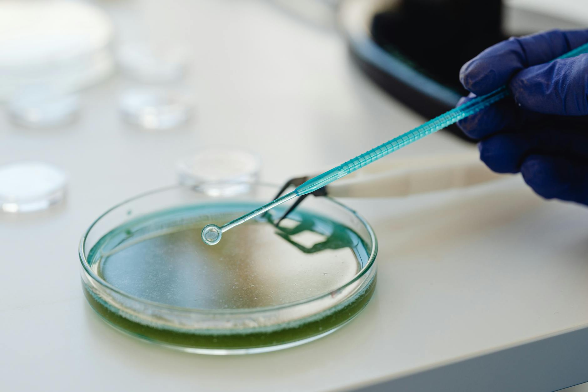 What Does Research Reveal About Preventive Medicine's Effectiveness?