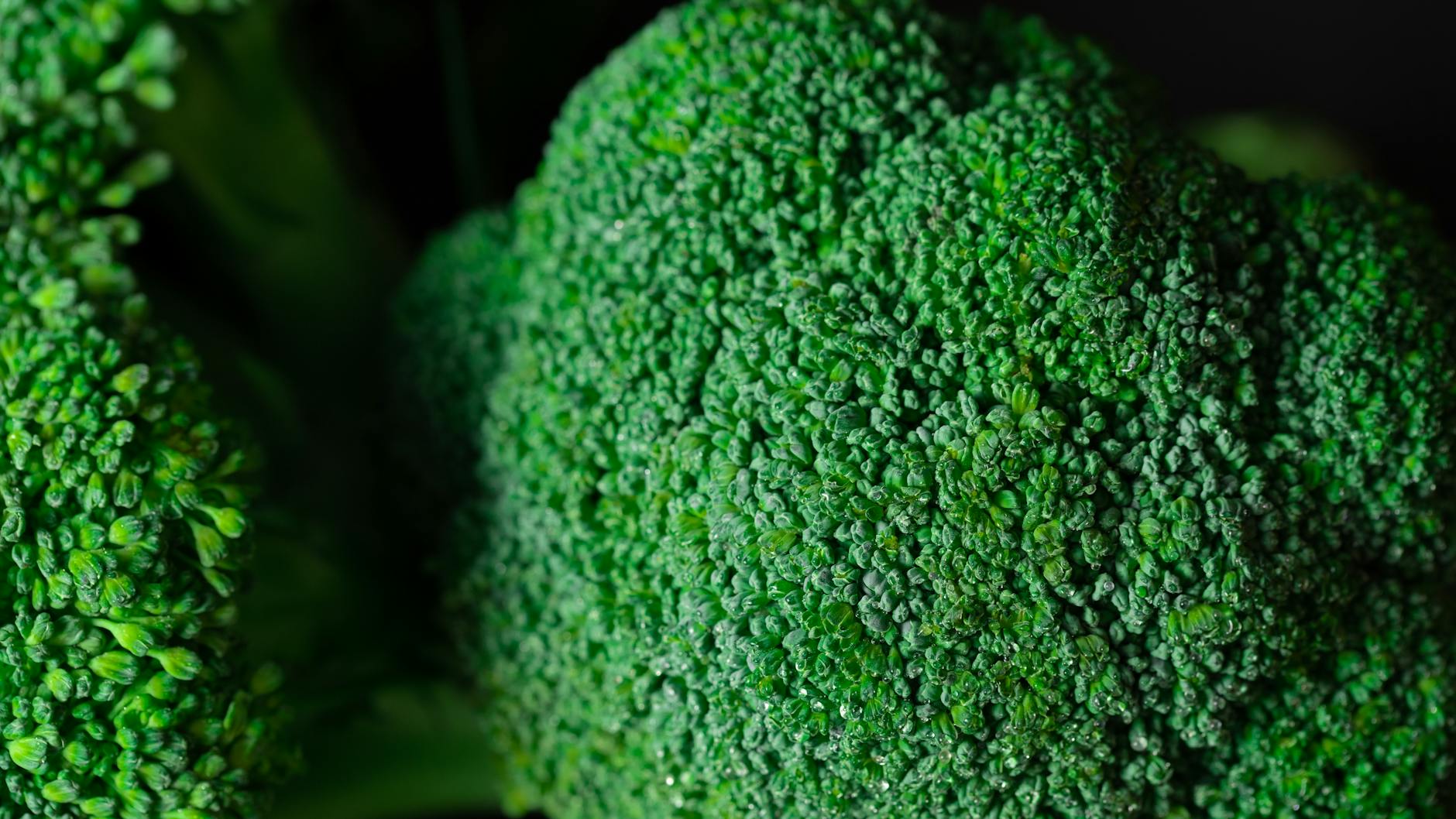 What Does the Broccoli Research Actually Show?