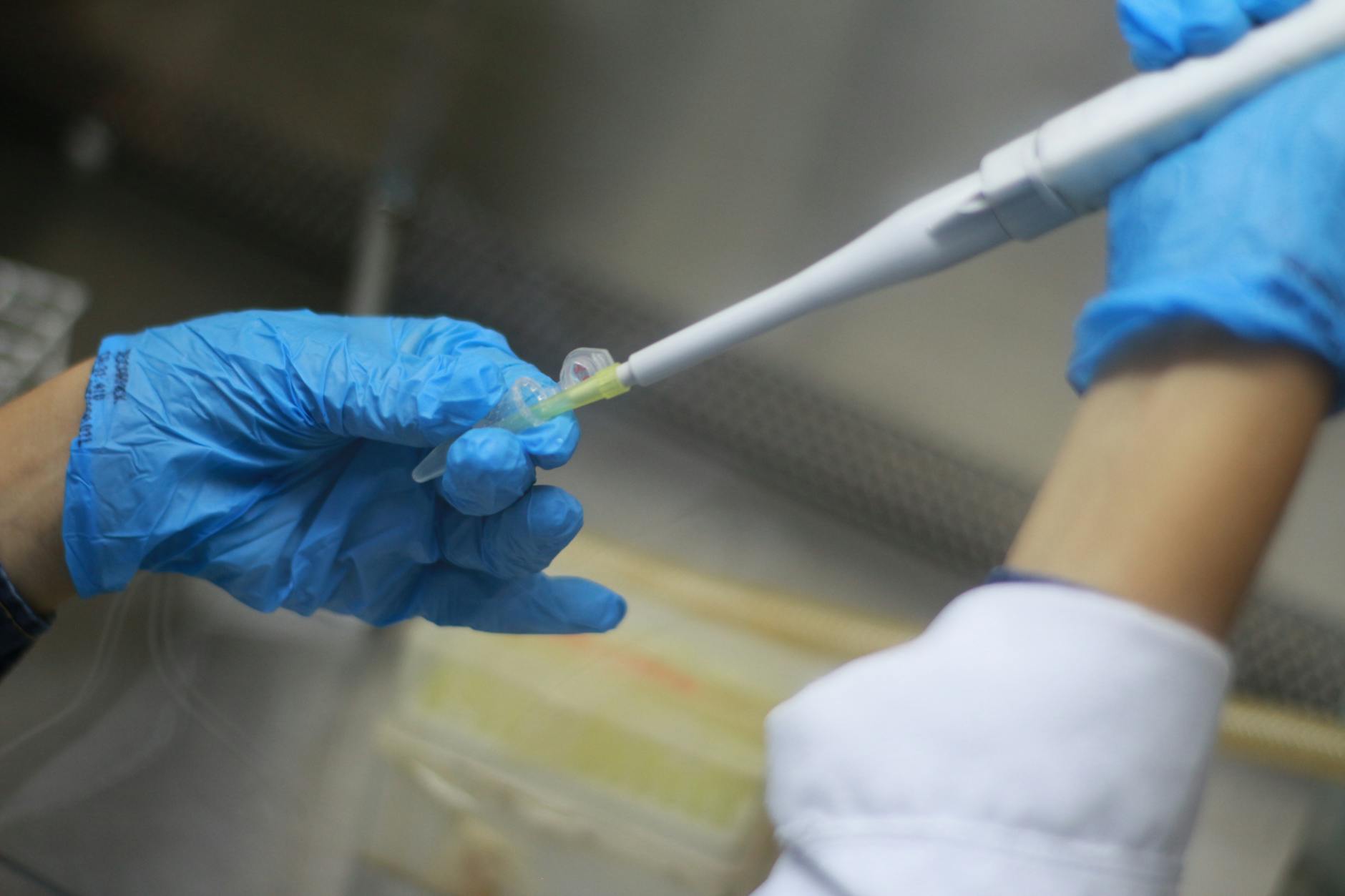 What Does the Harvard Research Actually Measure in Brain Changes?