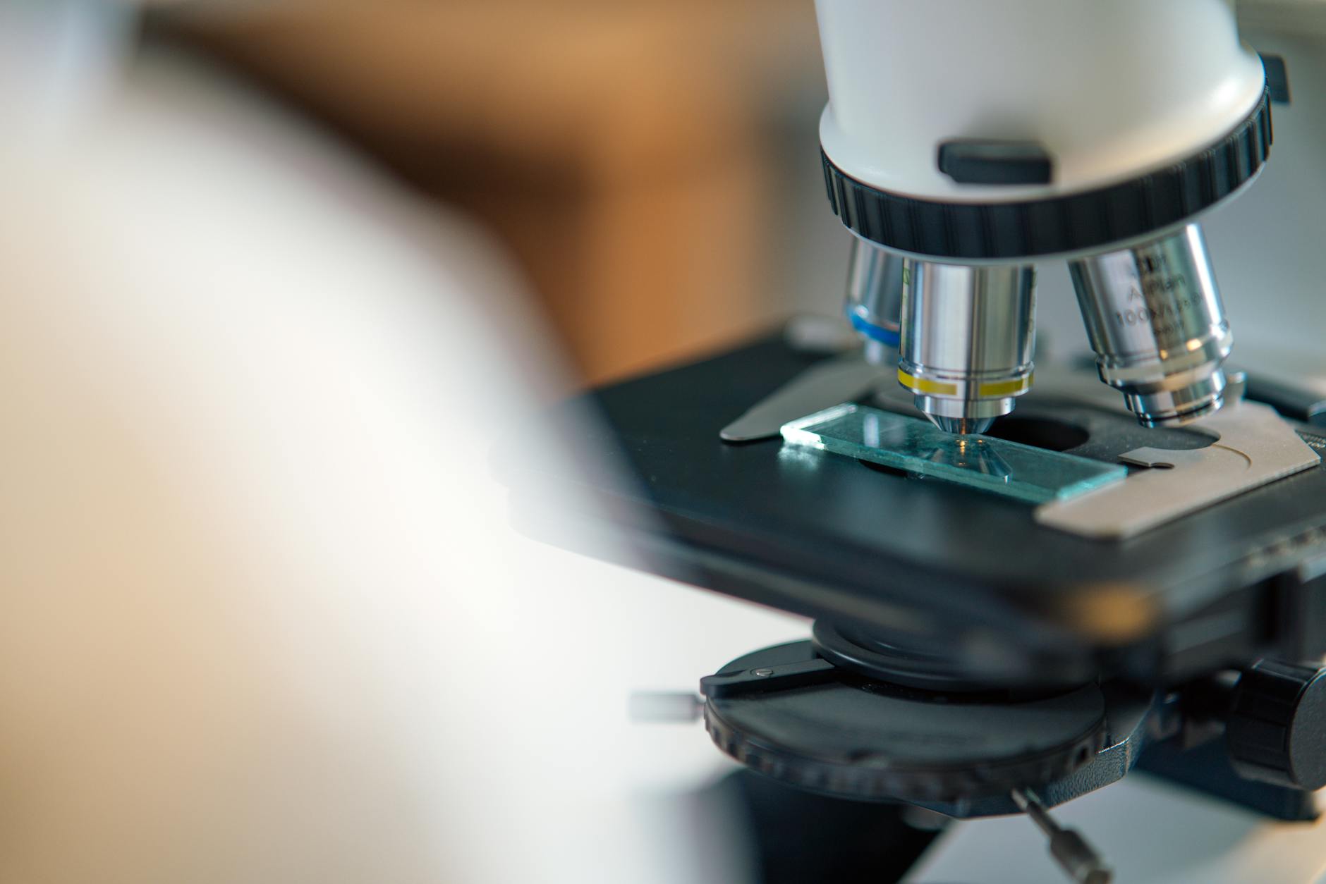 What Does the Research Show About Vitamin D and Midlife Alzheimer's Risk?