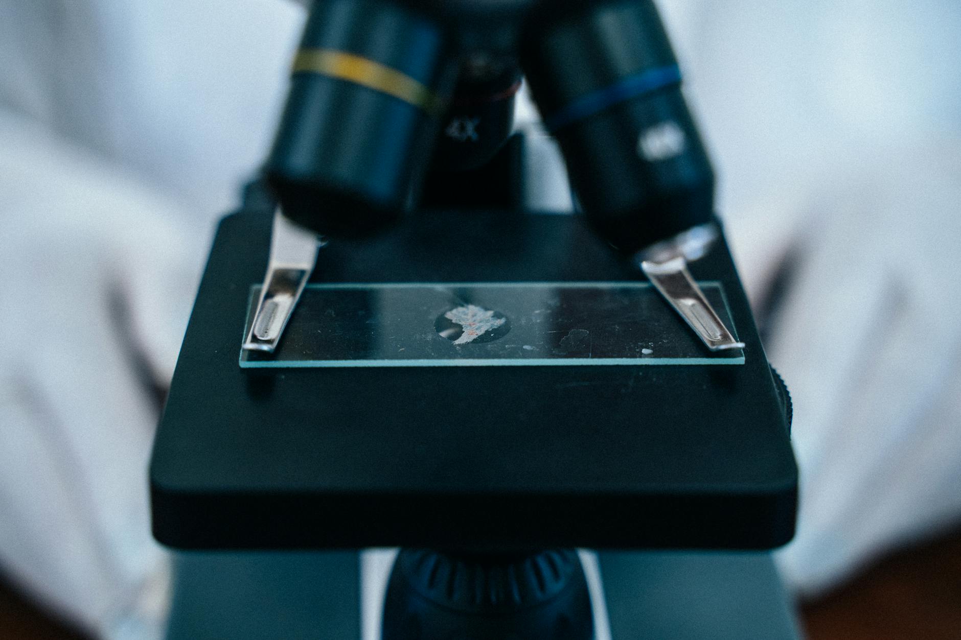 What Does the Research Show About Hearing Aids and Dementia Prevention?