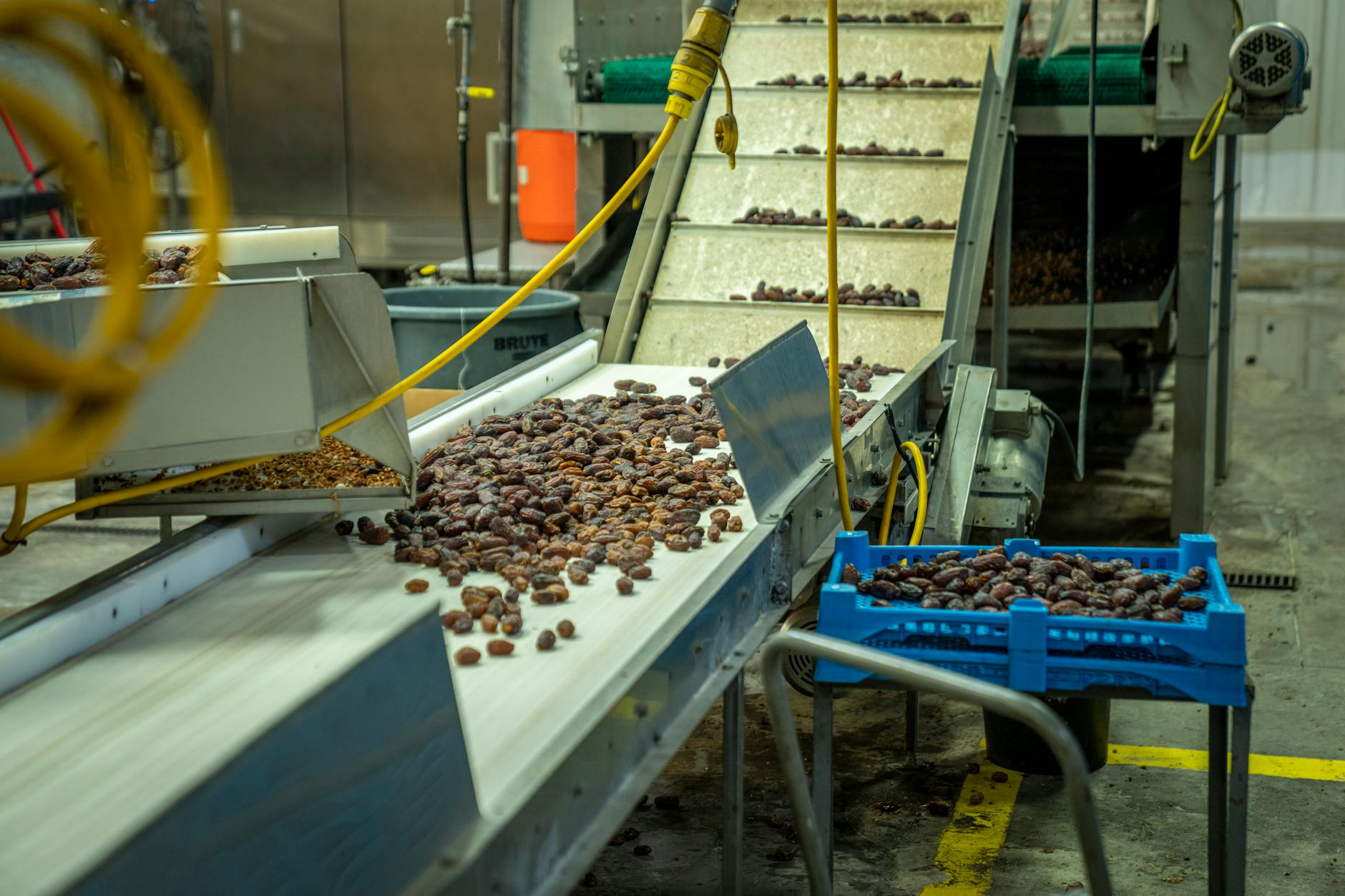 What Happens When You Replace Ultra-Processed Foods?