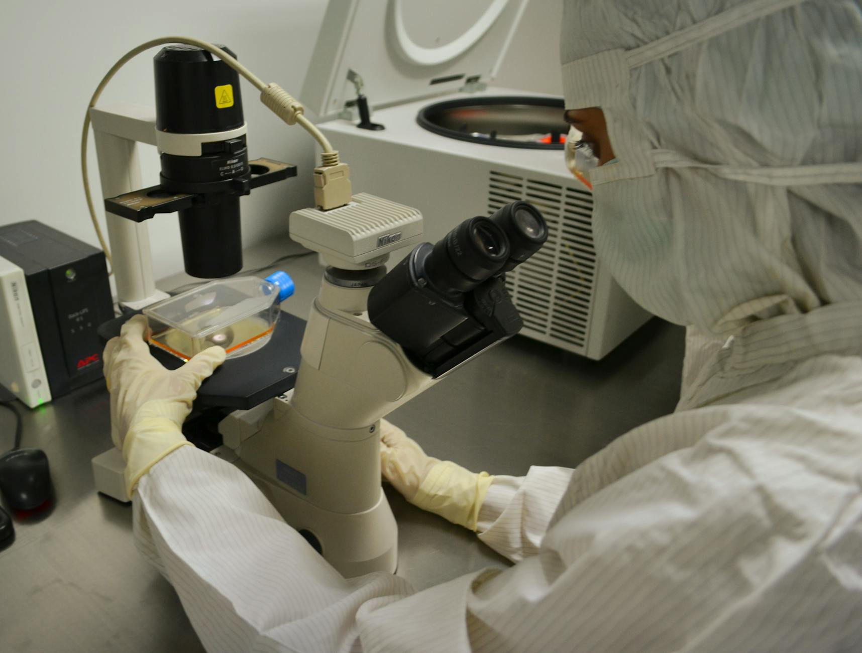 What Have Mayo Clinic Researchers Actually Found About Dementia Risk?