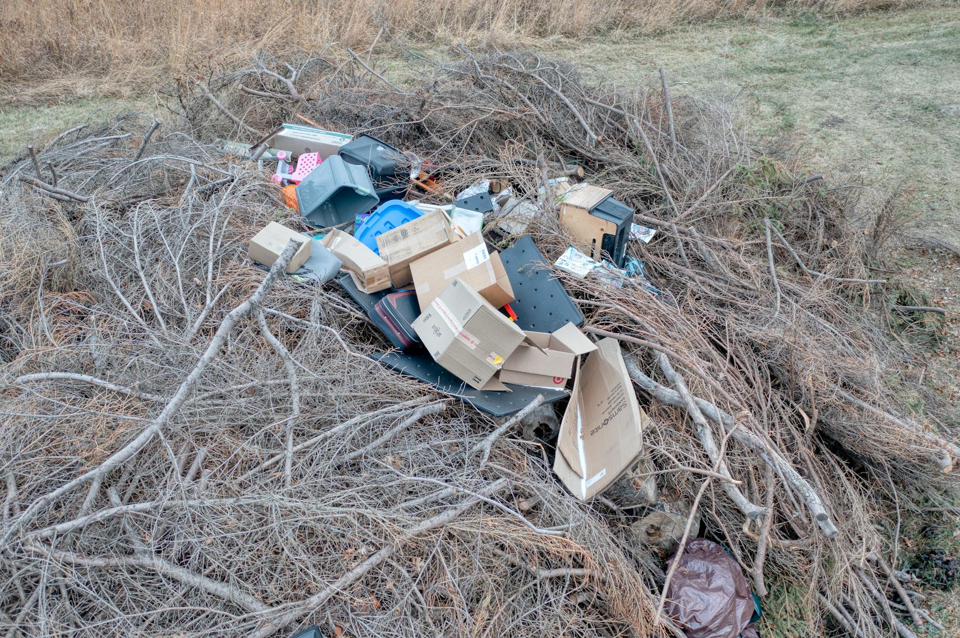 What Is Hoarding Behavior as a Dementia Symptom?