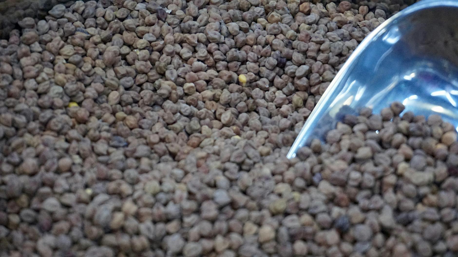 What Makes Chickpeas Stand Out for Brain Nutrition?