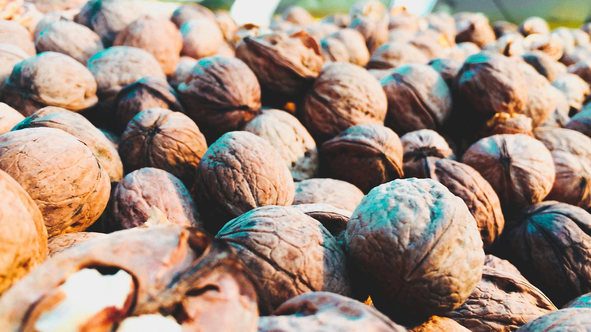 What Makes Walnuts Protective Against Alzheimer's Disease?