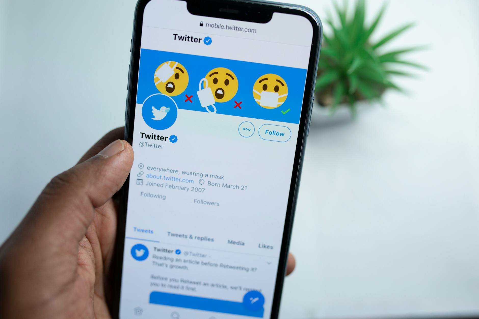 What Matcha Actually Improved: Social Cognition and Sleep