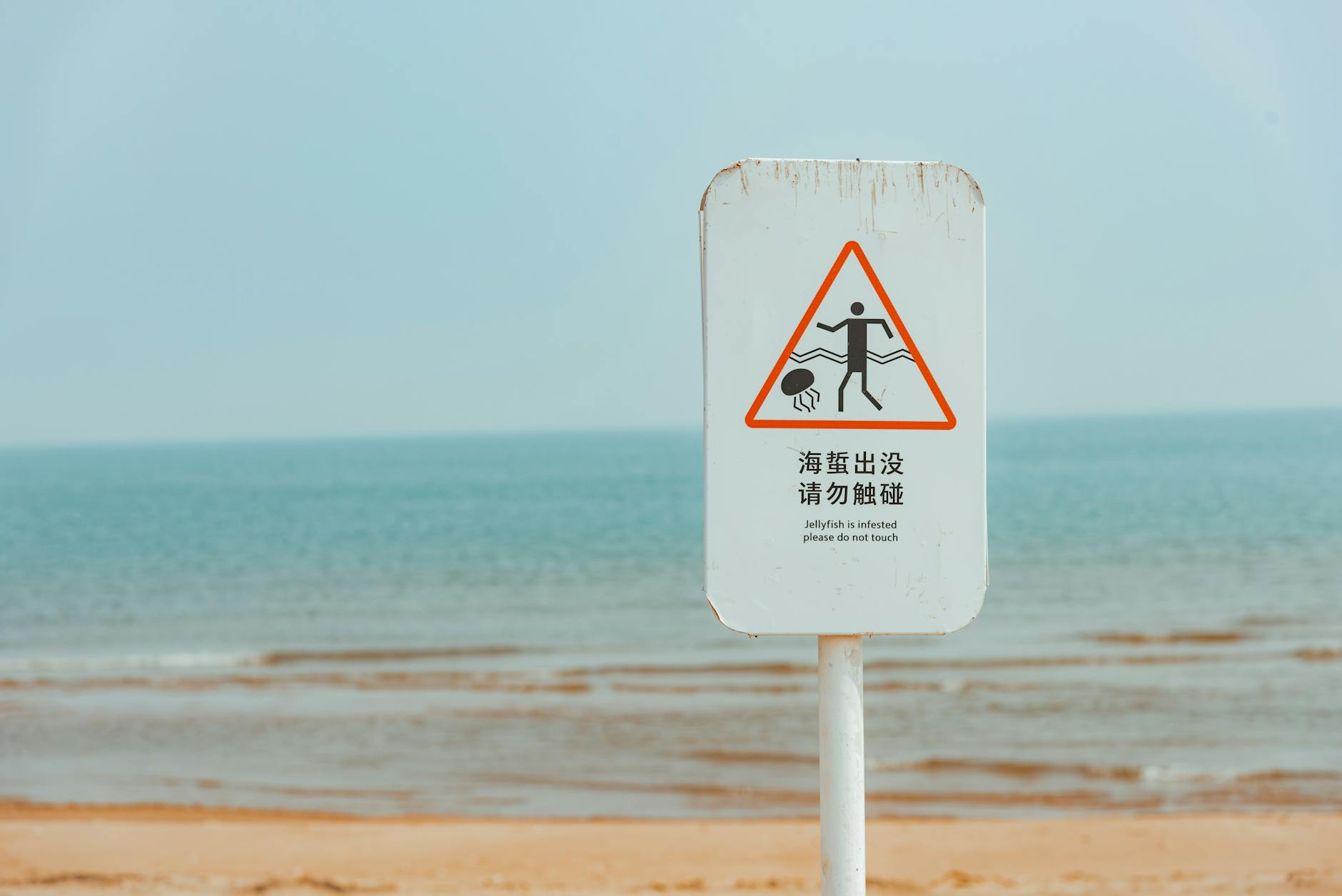 What Medical Tests Can Catch These Warning Signs Early?