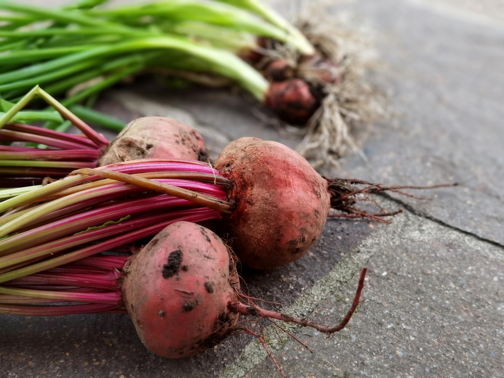 What Neurologists Say About beets and Memory Loss - HelpDementia.com