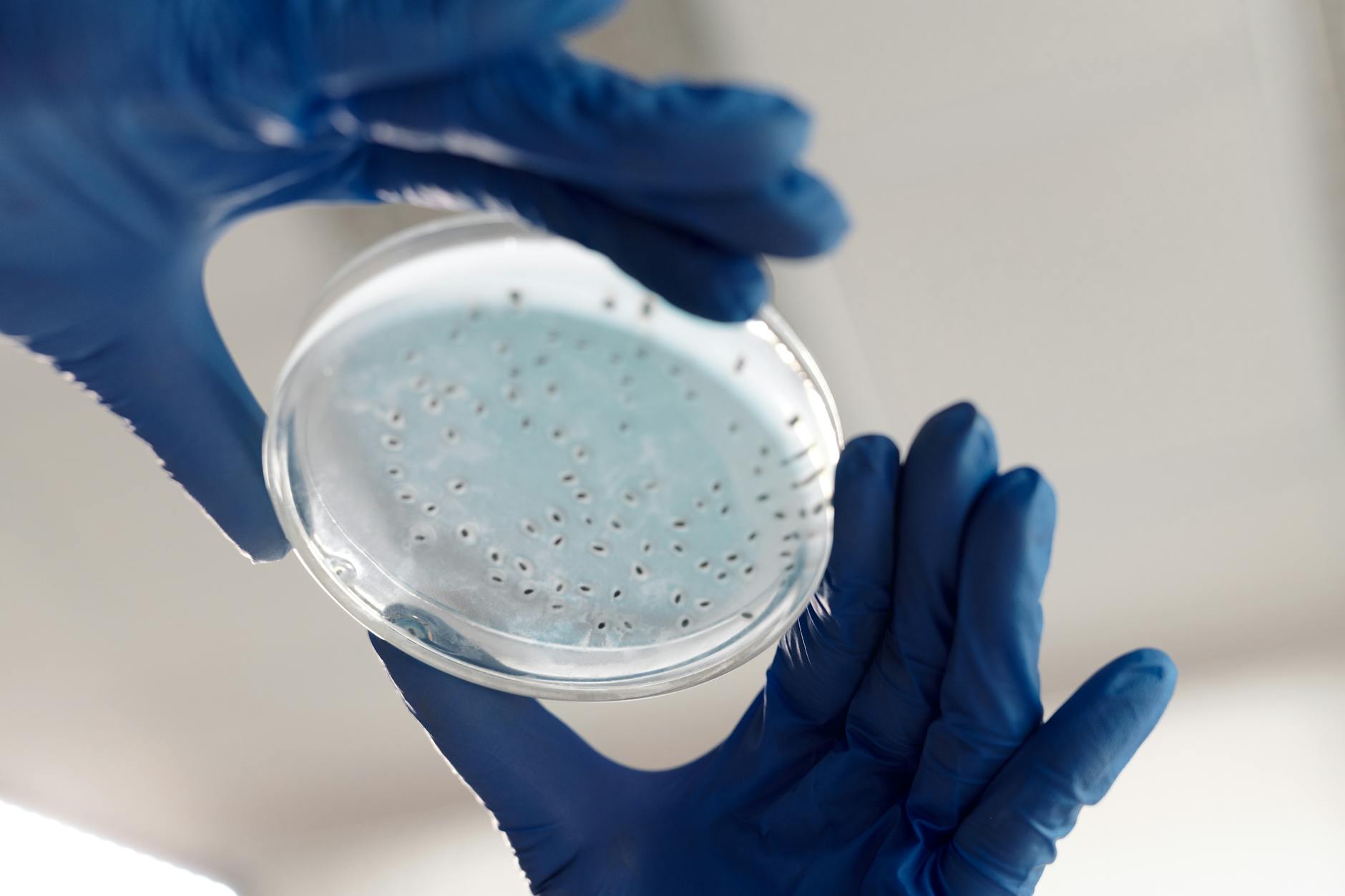 What New Genetic Markers Reveal About Disease Risk