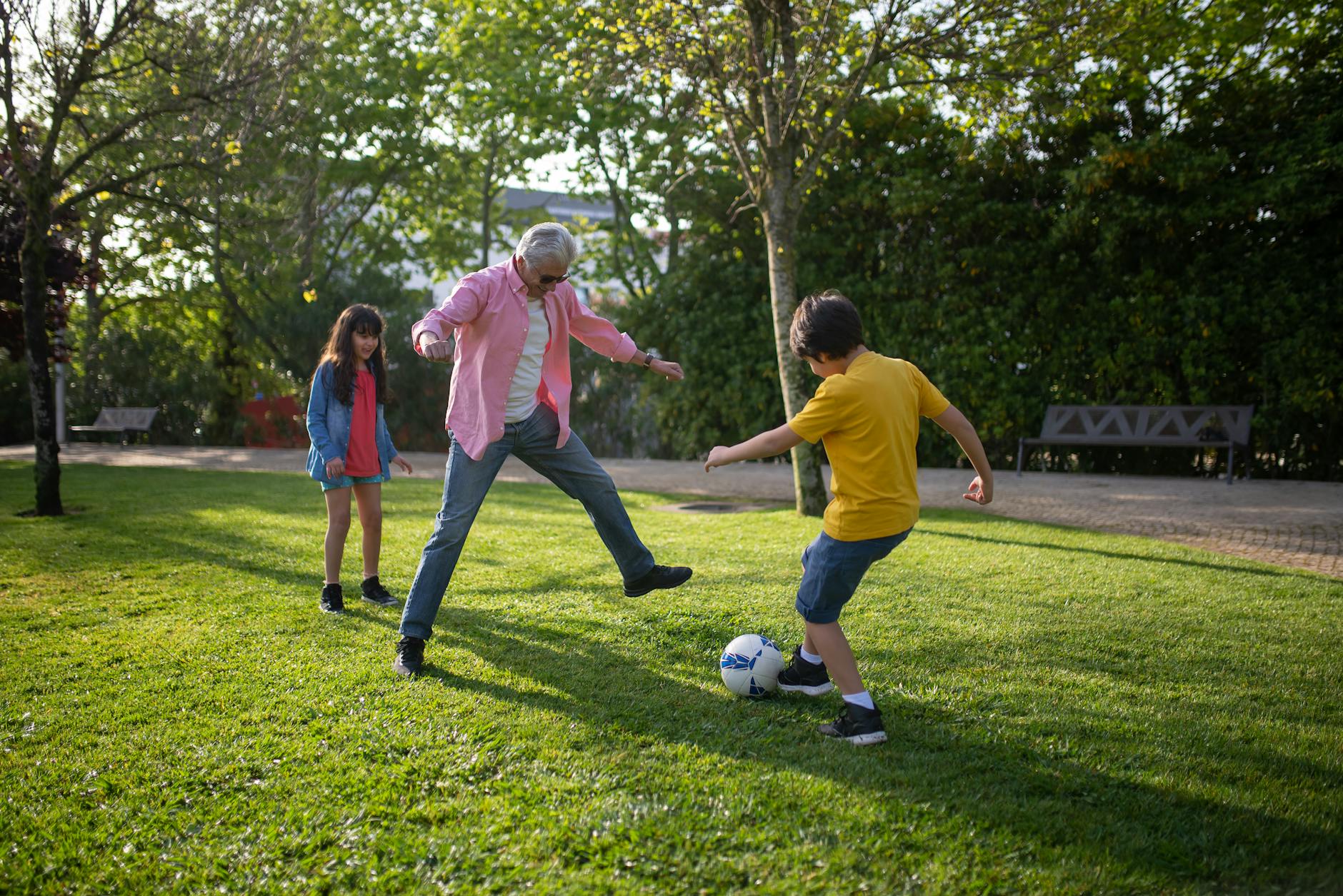 What Role Does Cardiovascular Health Play?