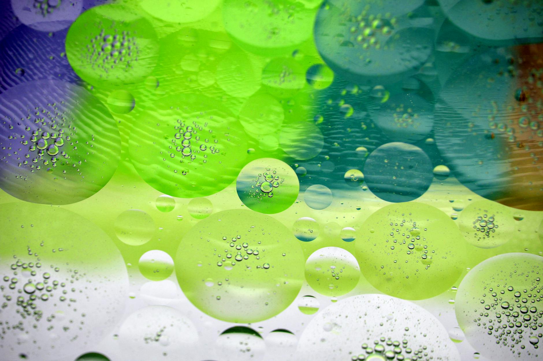 What Specific Molecular Changes Link Aging to Cognitive Disease?