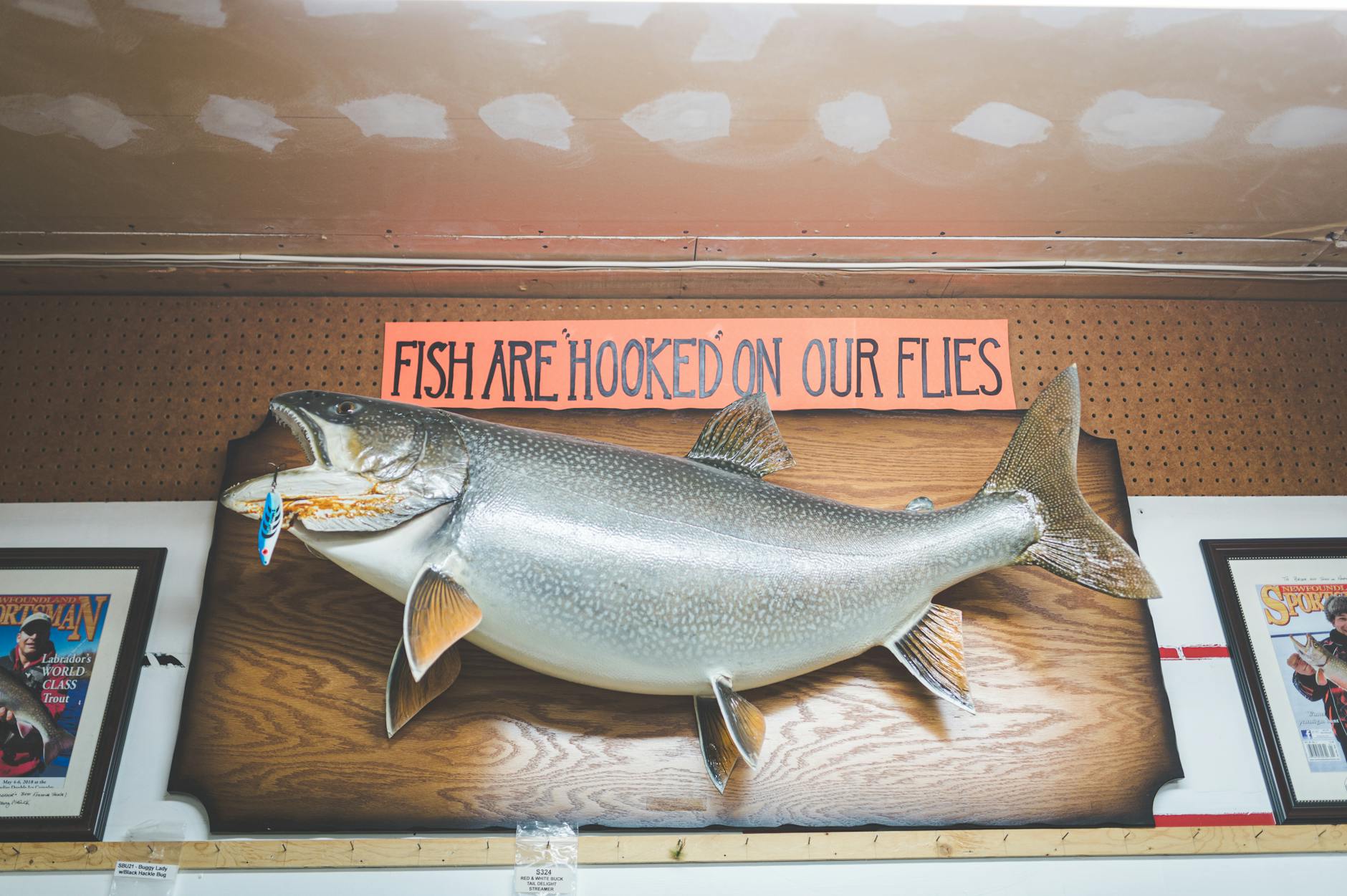 What the Research Actually Shows About Fish Consumption and Dementia Prevention