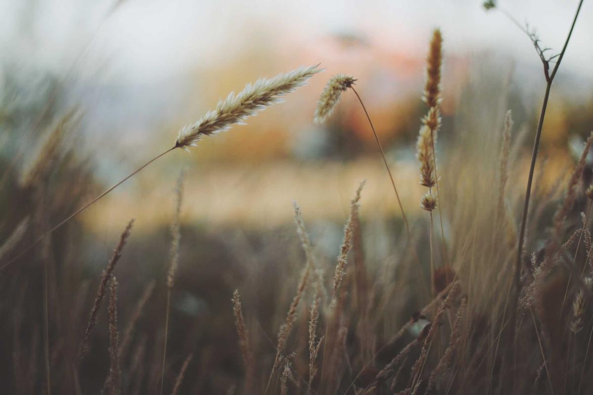 When Purpose Isn't Enough—Limitations and Integrated Approaches